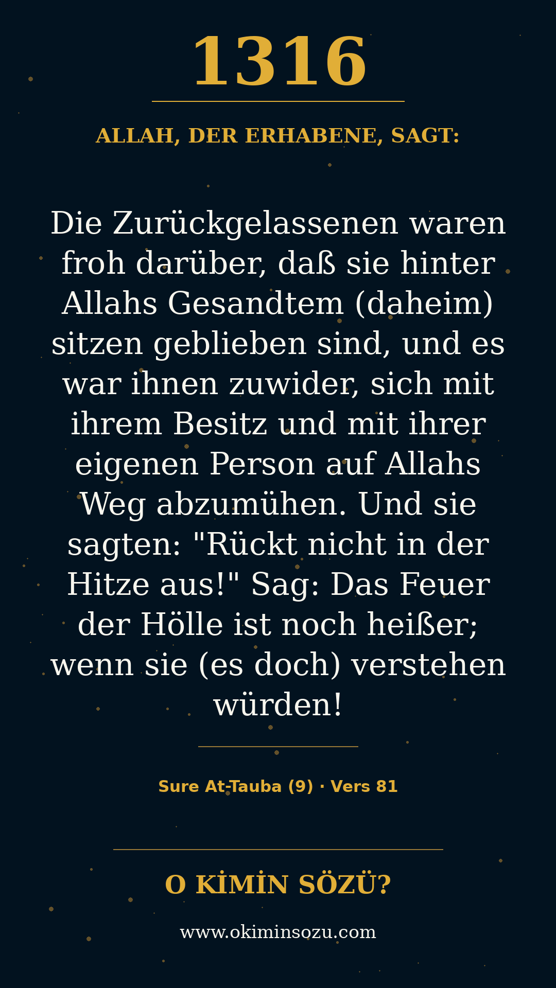 quran 1316 s009 a081