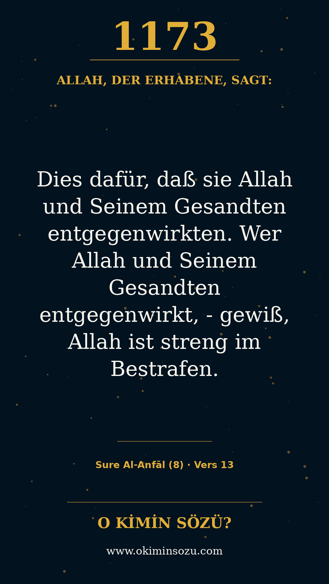 quran 1173 s008 a013