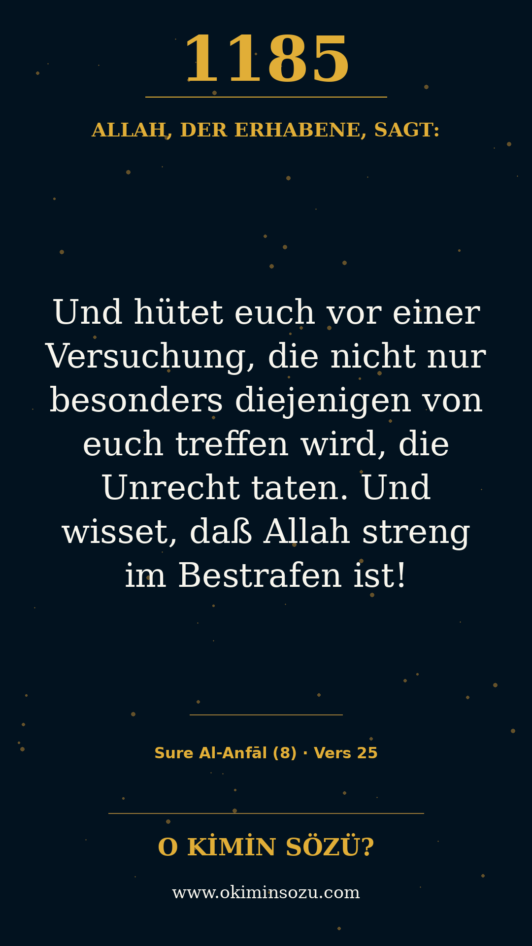 quran 1185 s008 a025
