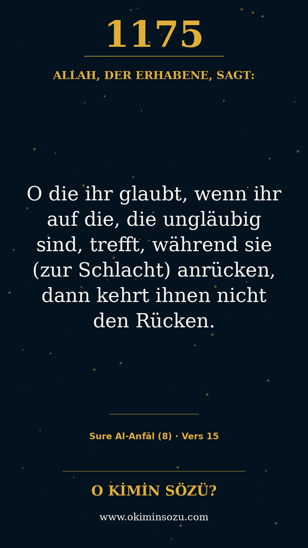 quran 1175 s008 a015