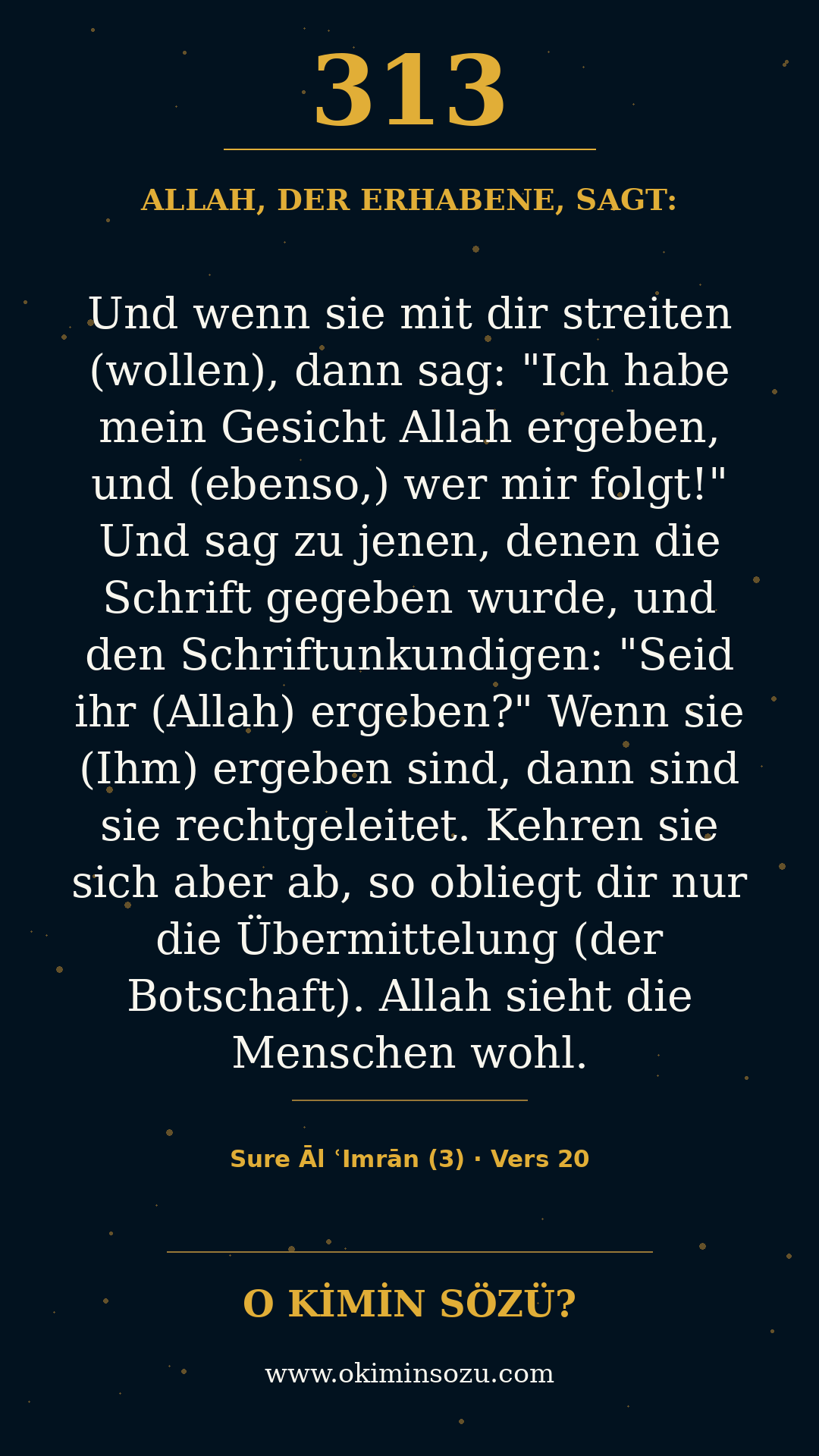 quran 0313 s003 a020