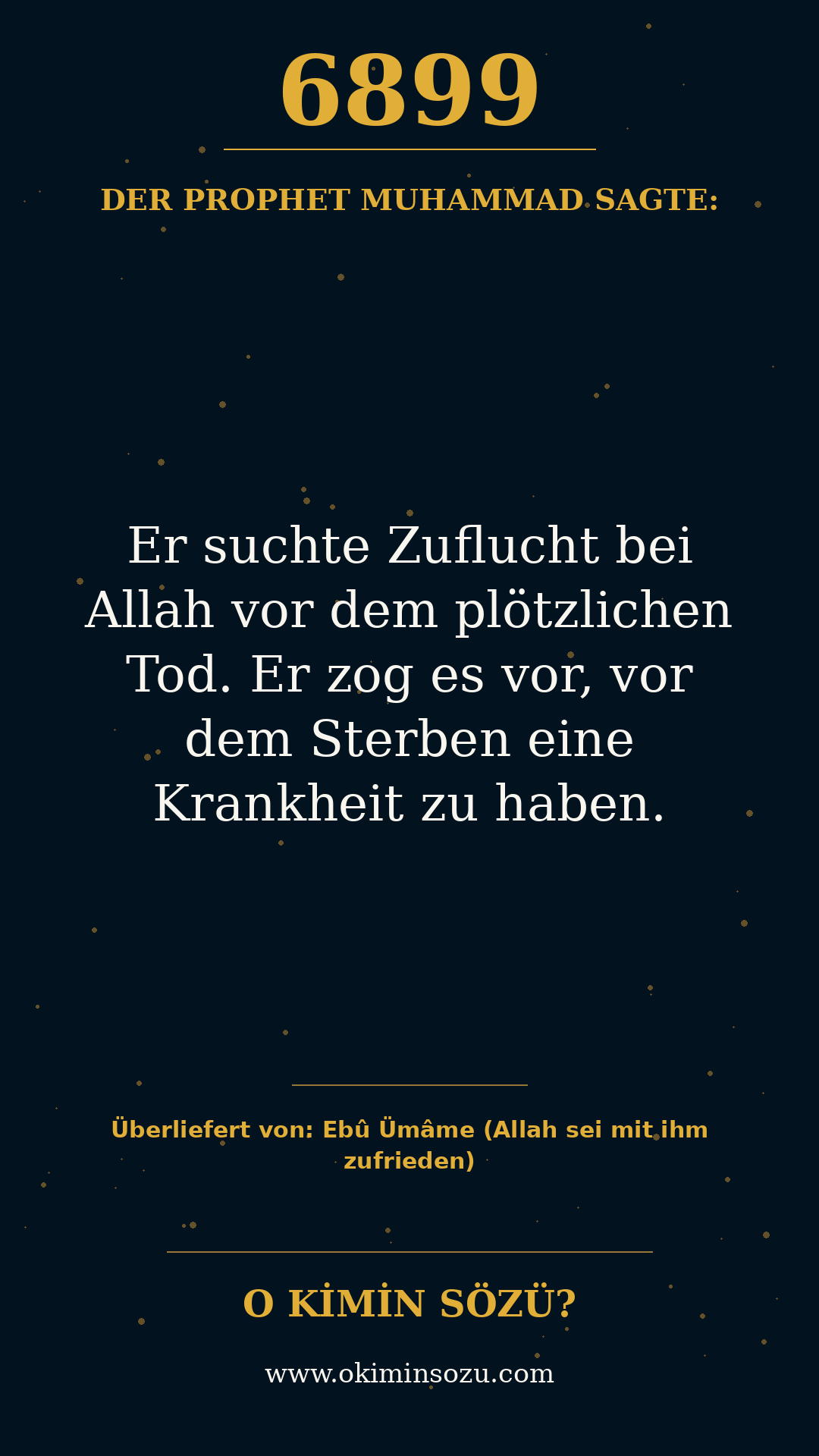 hadith 6899