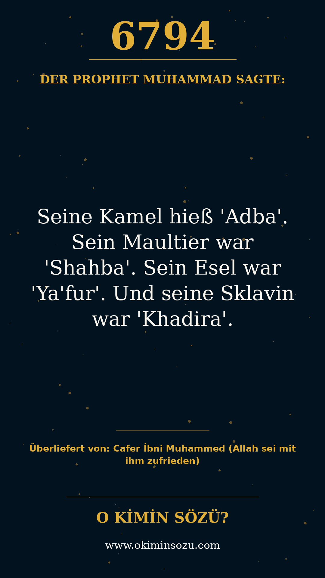 hadith 6794