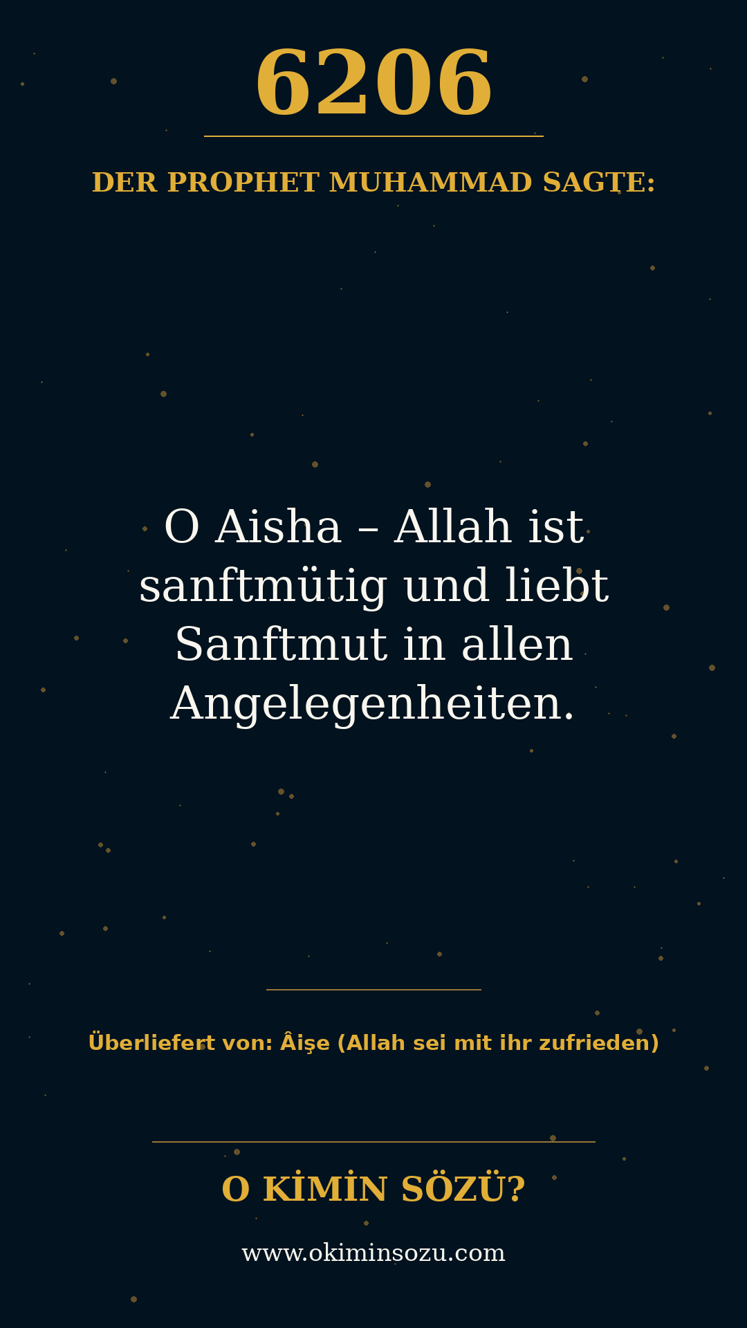 hadith 6206