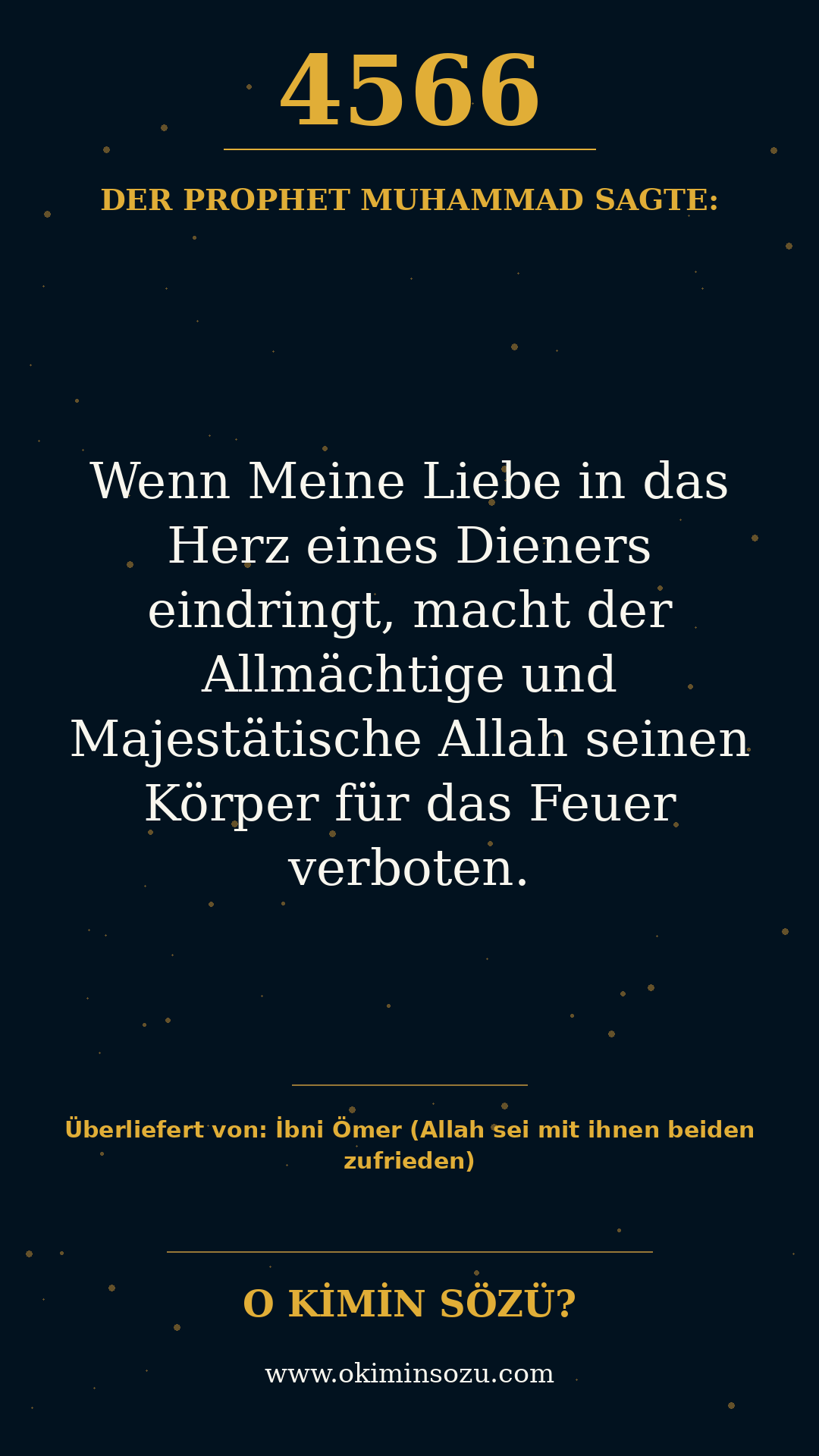 hadith 4566
