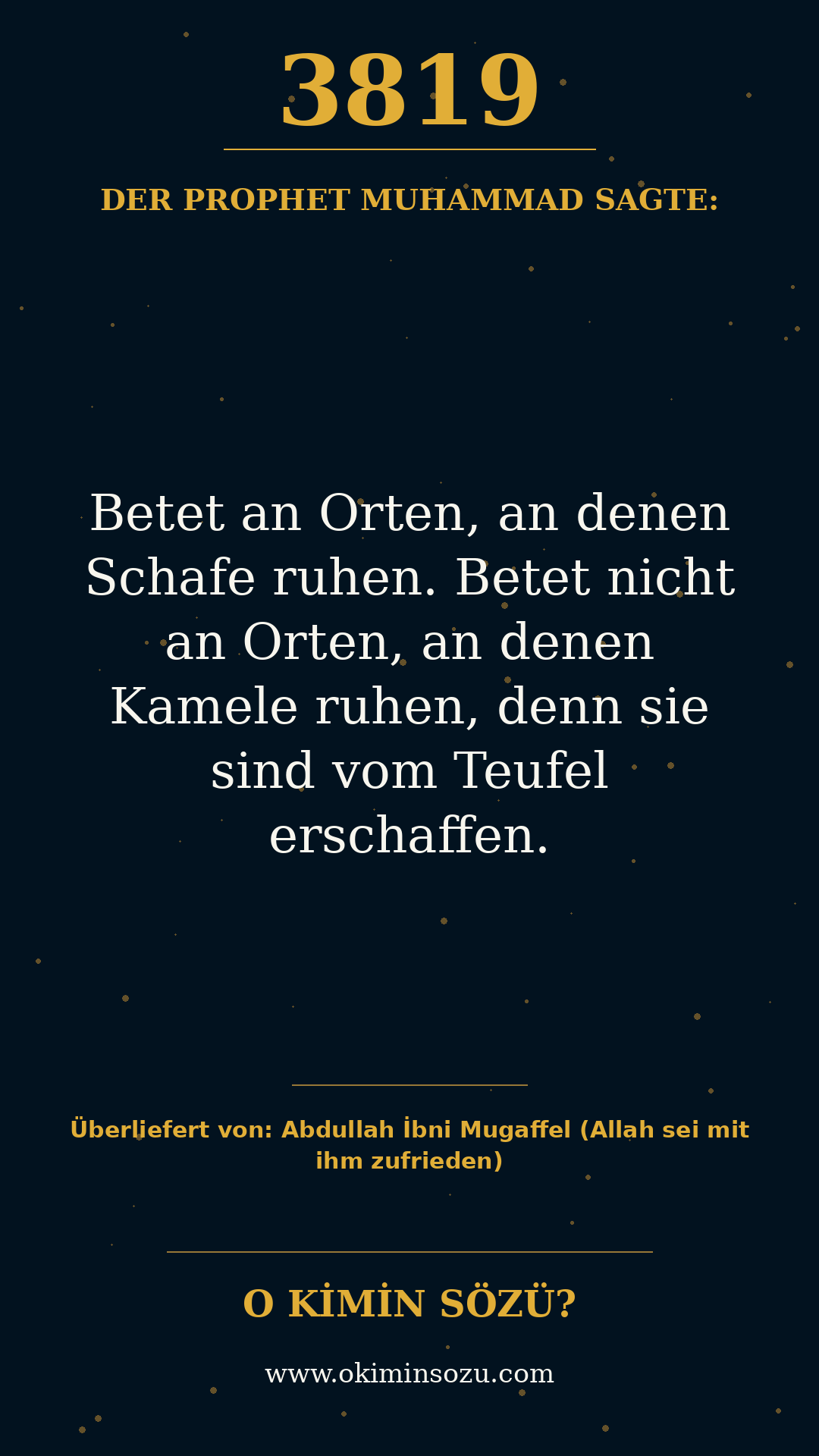 hadith 3819