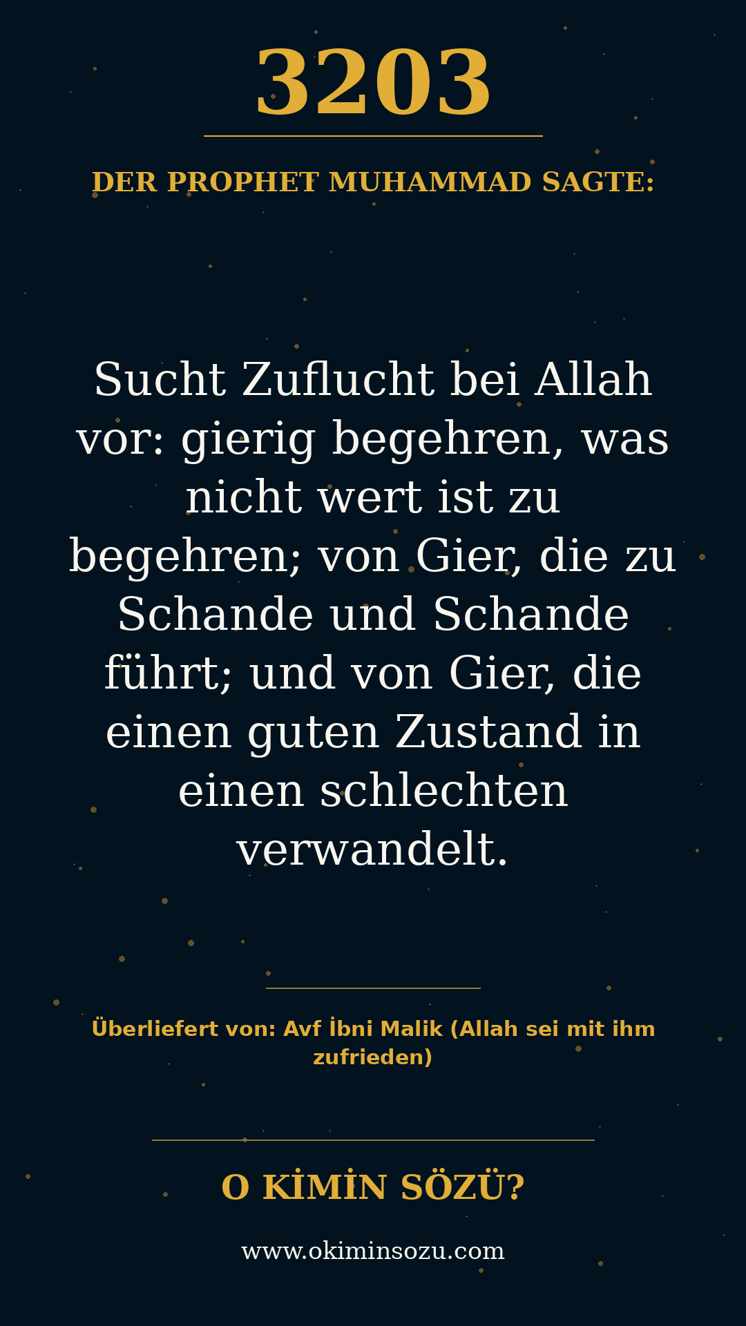 hadith 3203