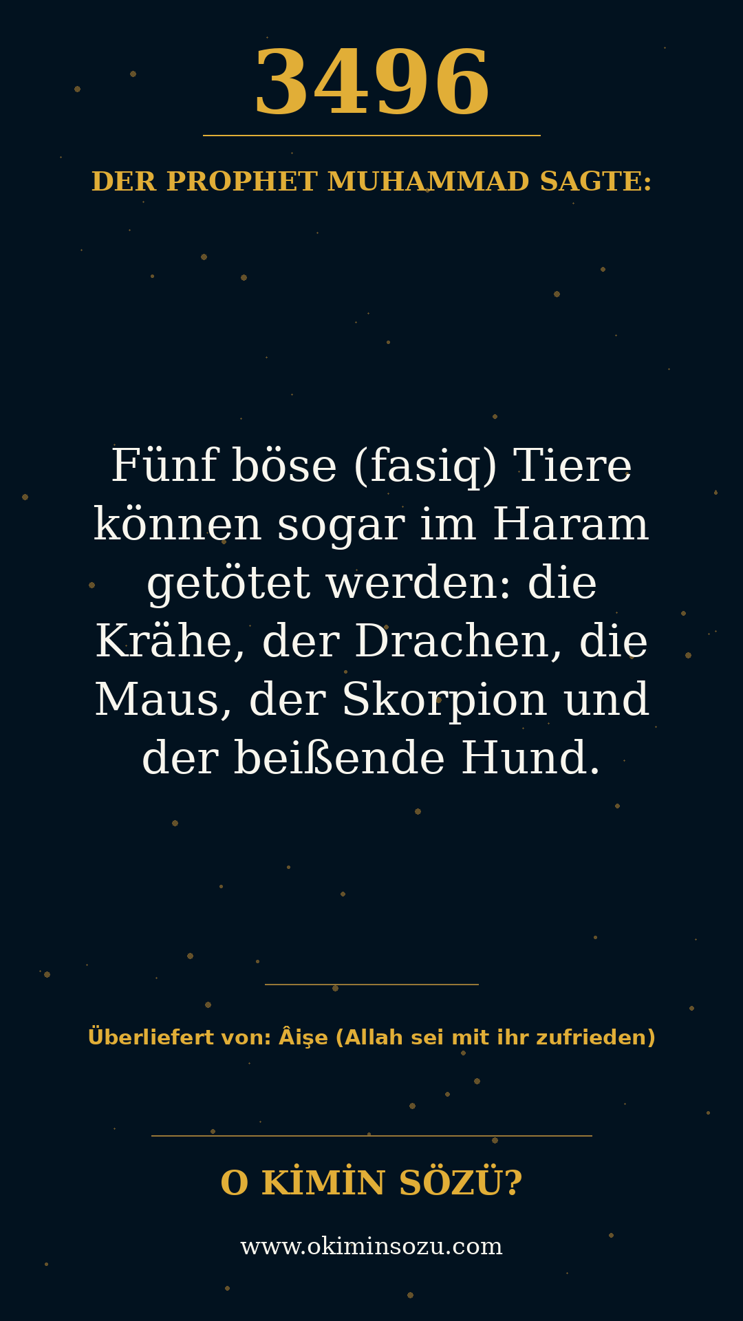 hadith 3496