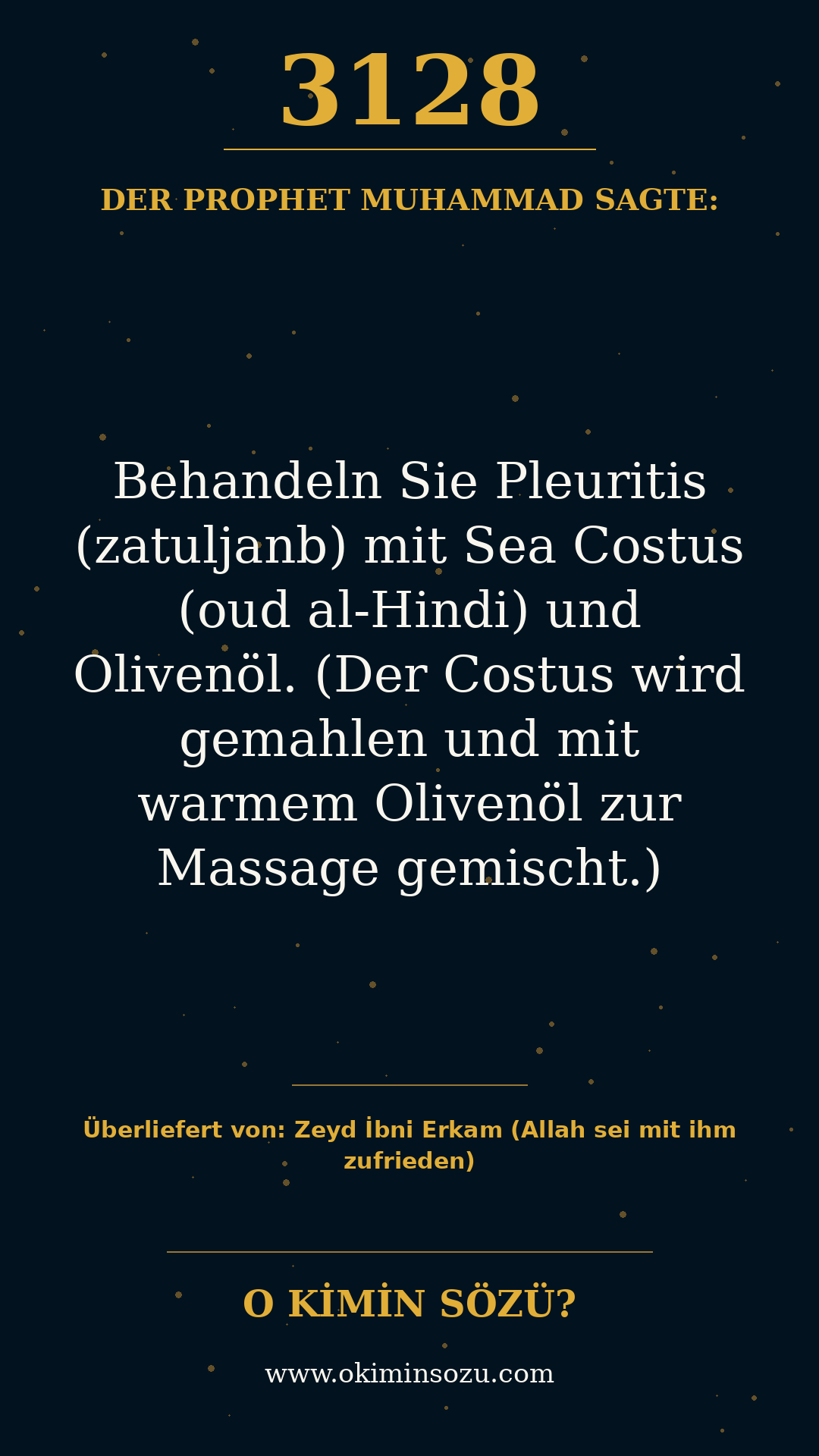 hadith 3128