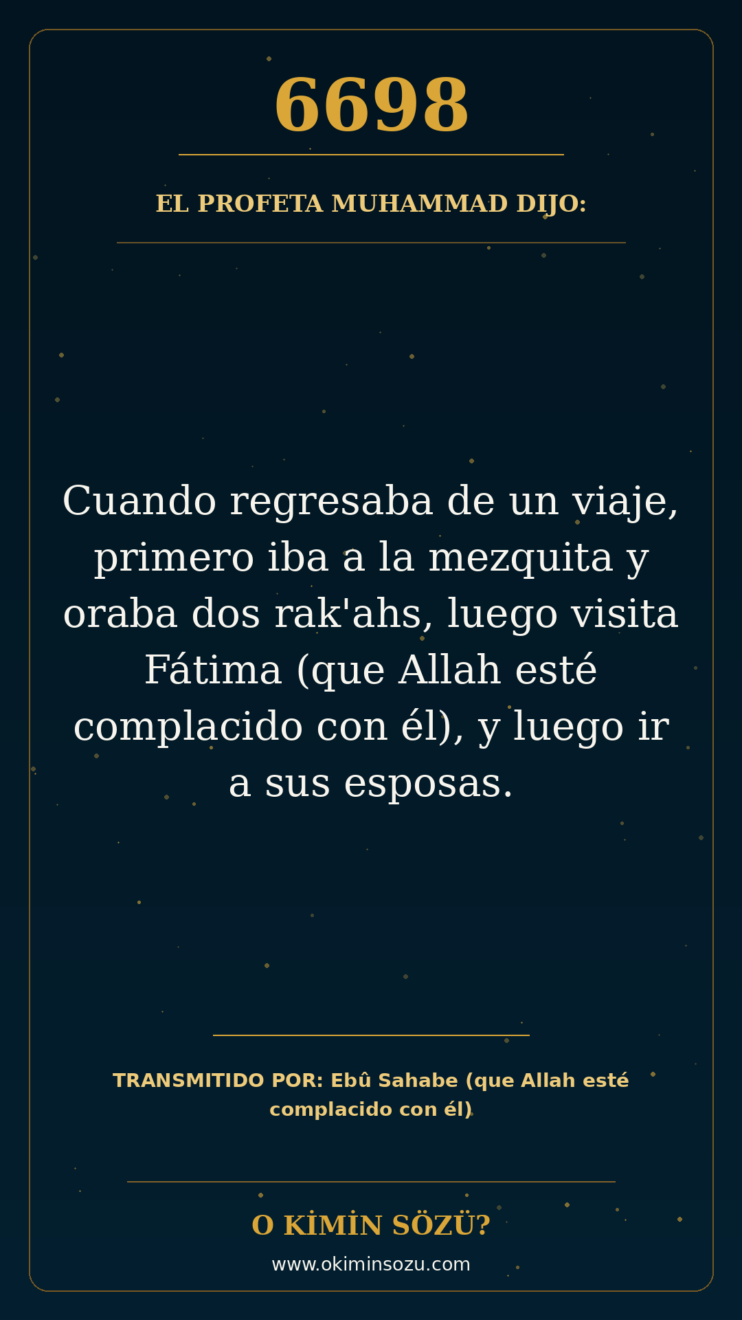 hadis 6698 es