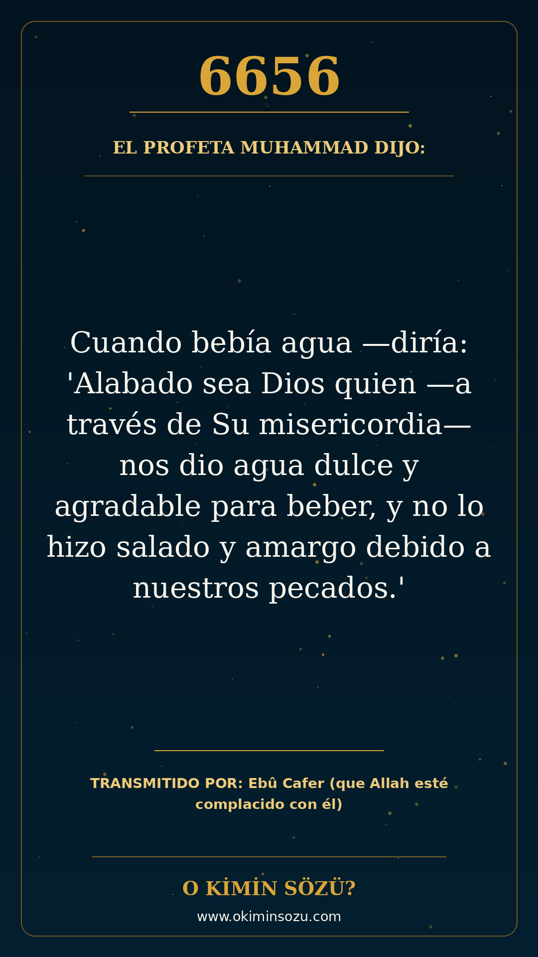 hadis 6656 es