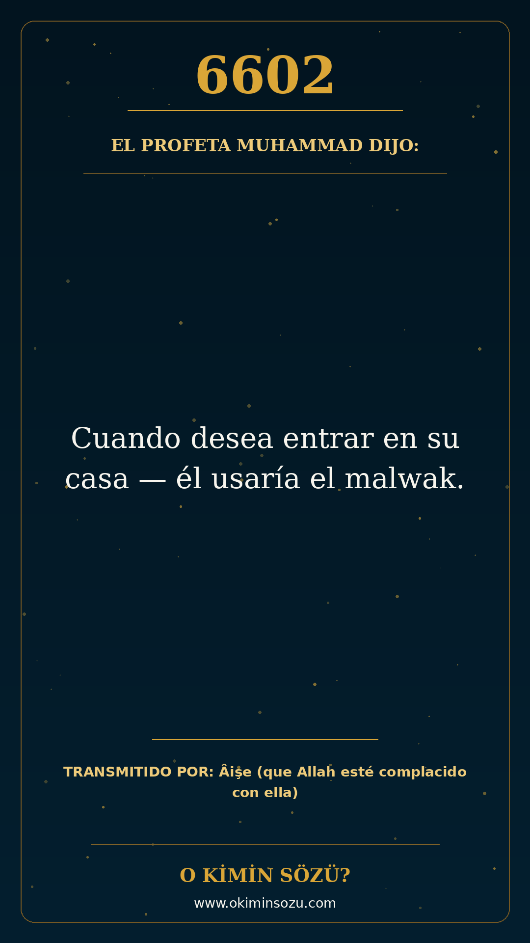 hadis 6602 es