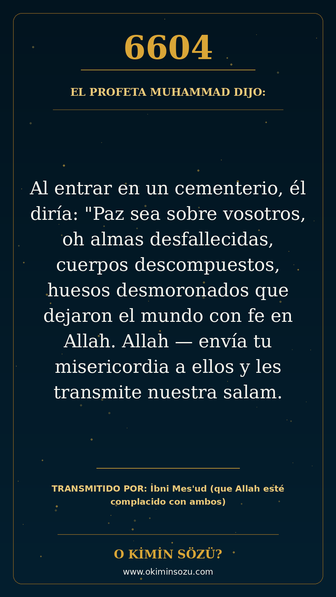 hadis 6604 es