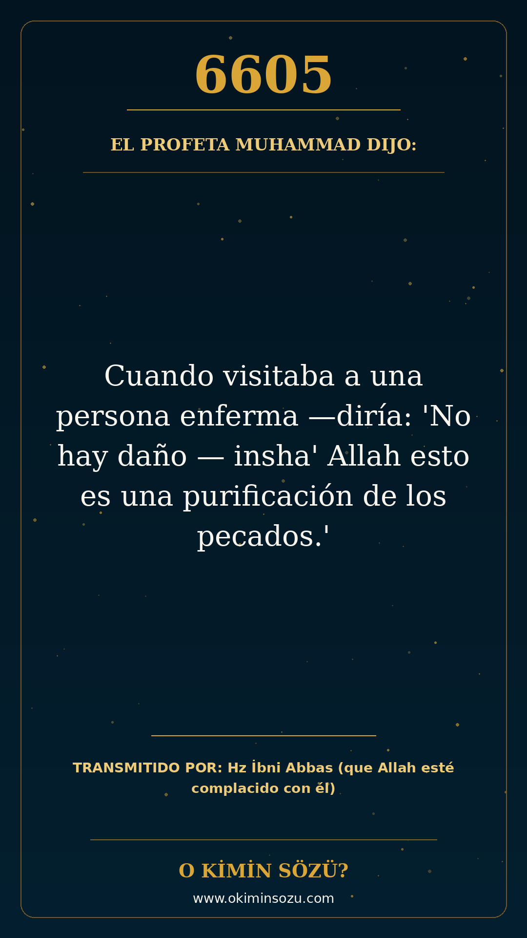 hadis 6605 es