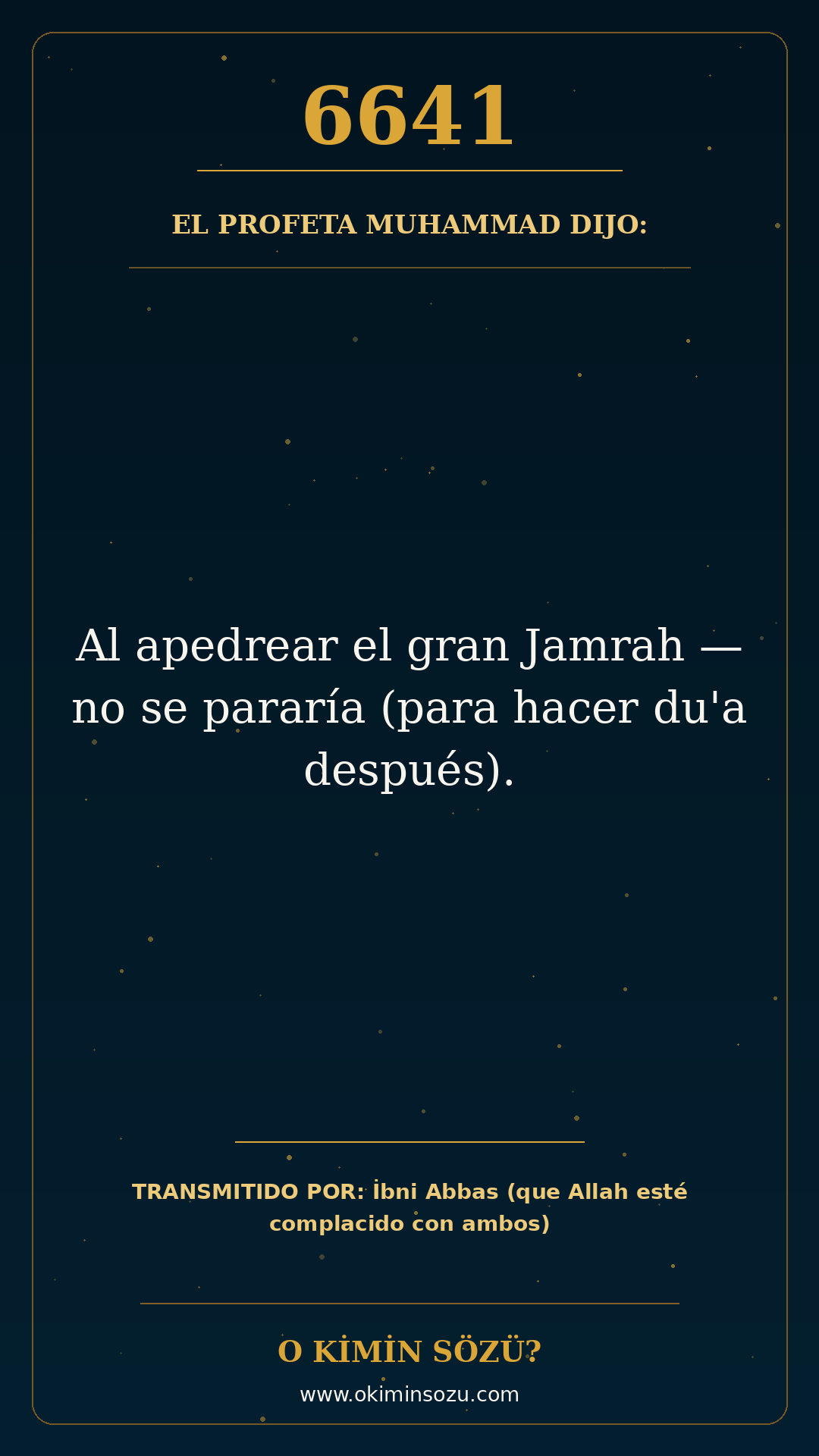 hadis 6641 es