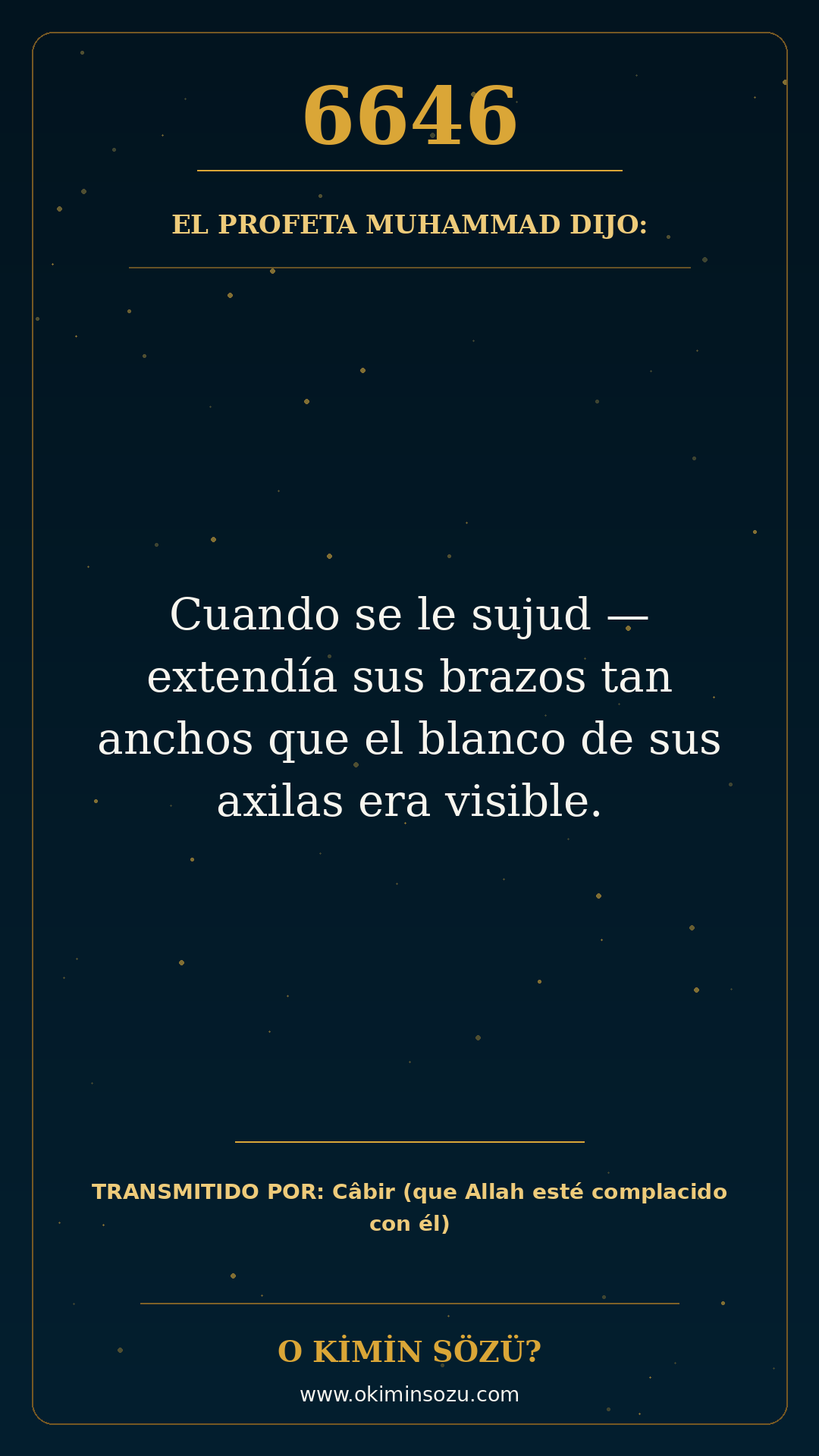 hadis 6646 es