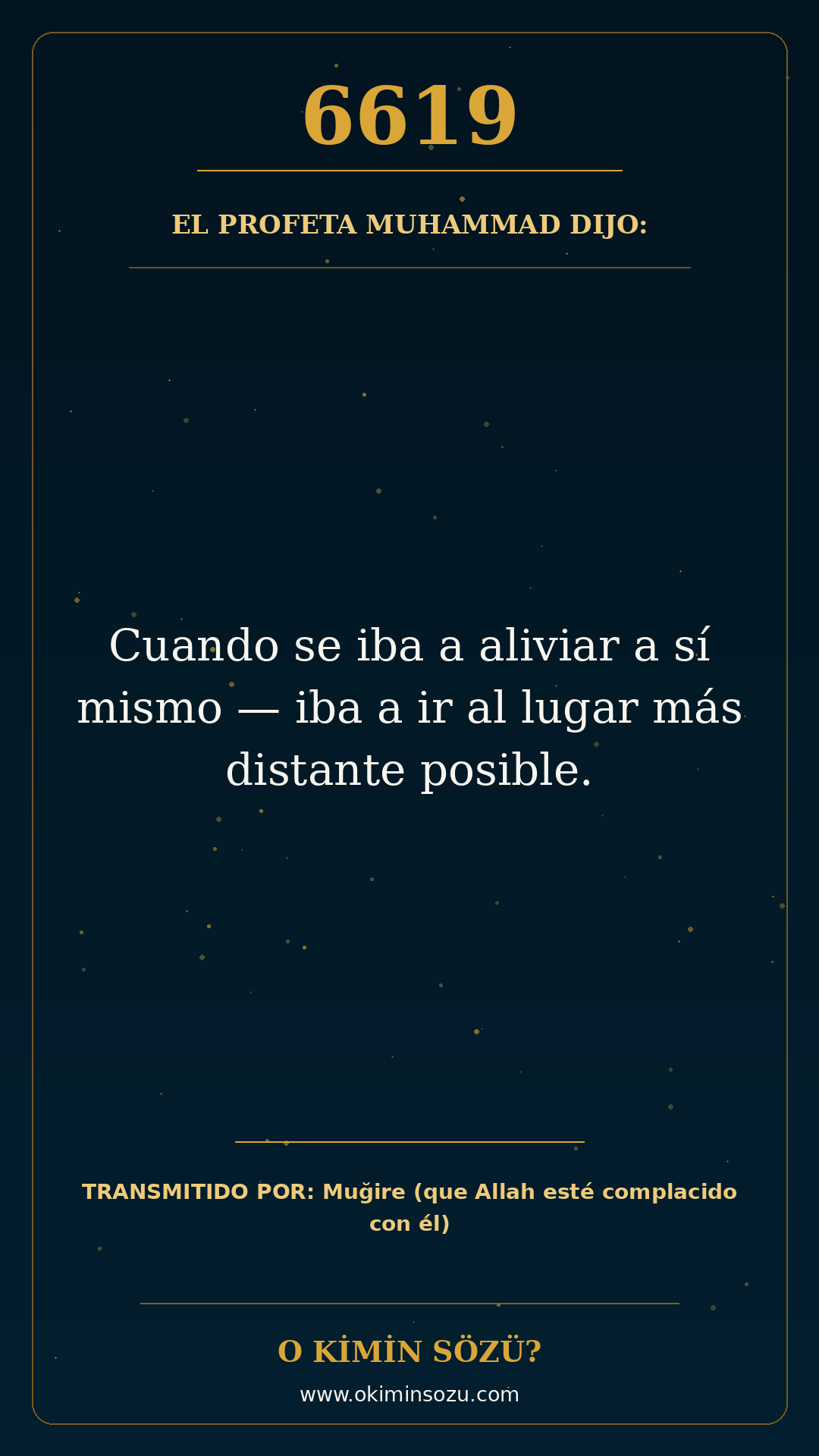 hadis 6619 es