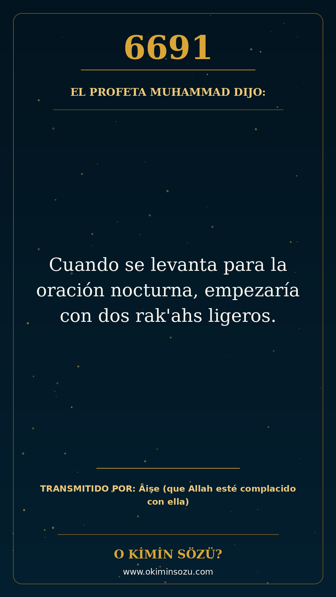 hadis 6691 es
