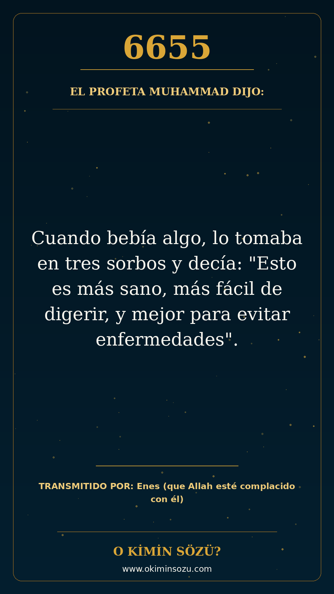 hadis 6655 es