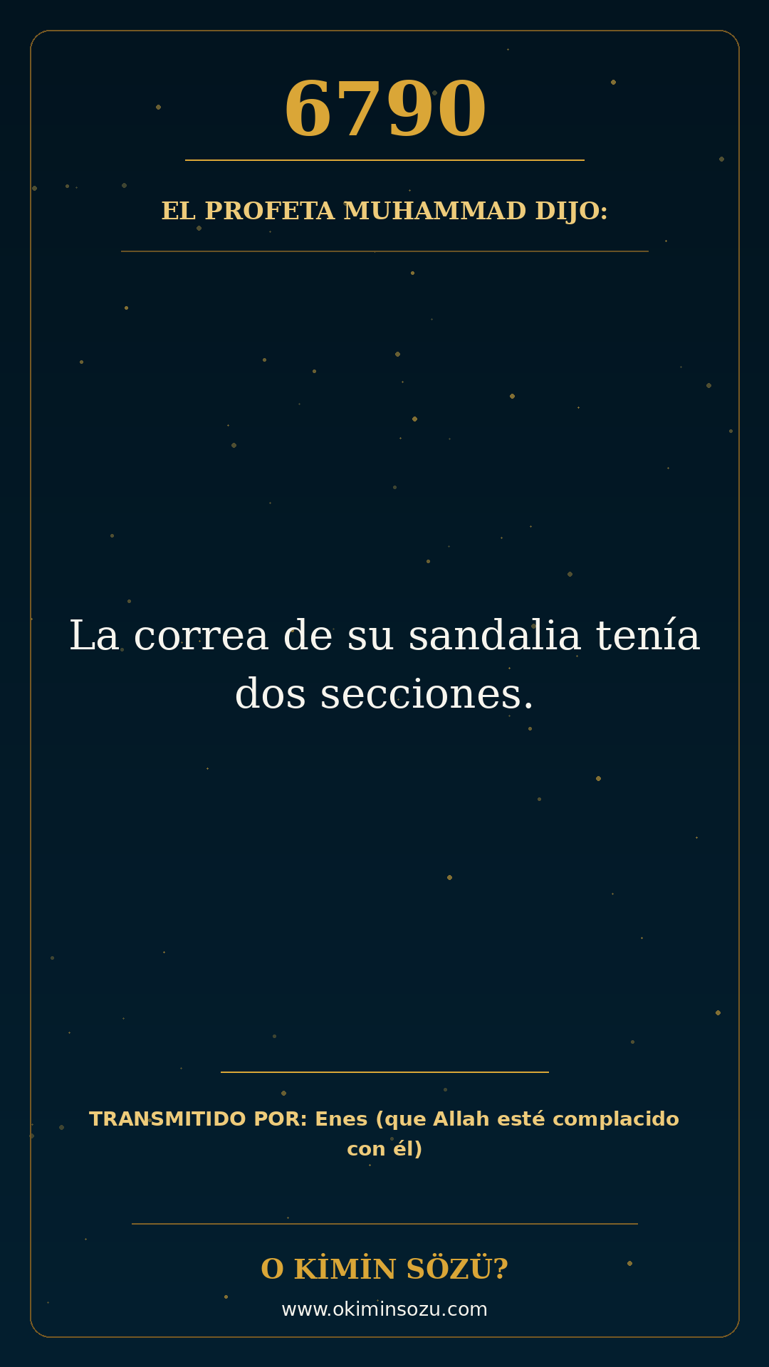 hadis 6790 es