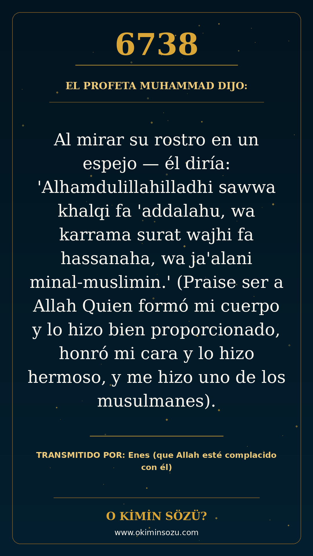 hadis 6738 es