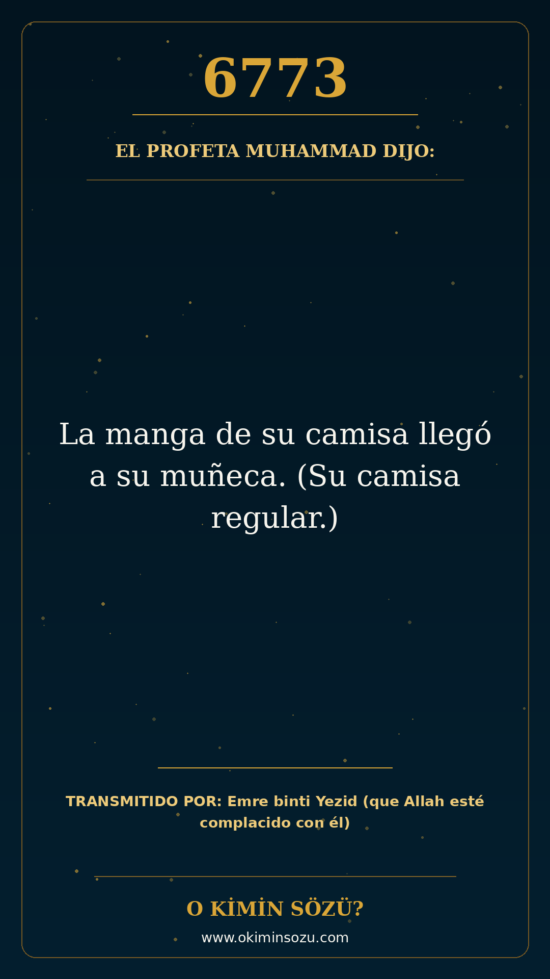 hadis 6773 es