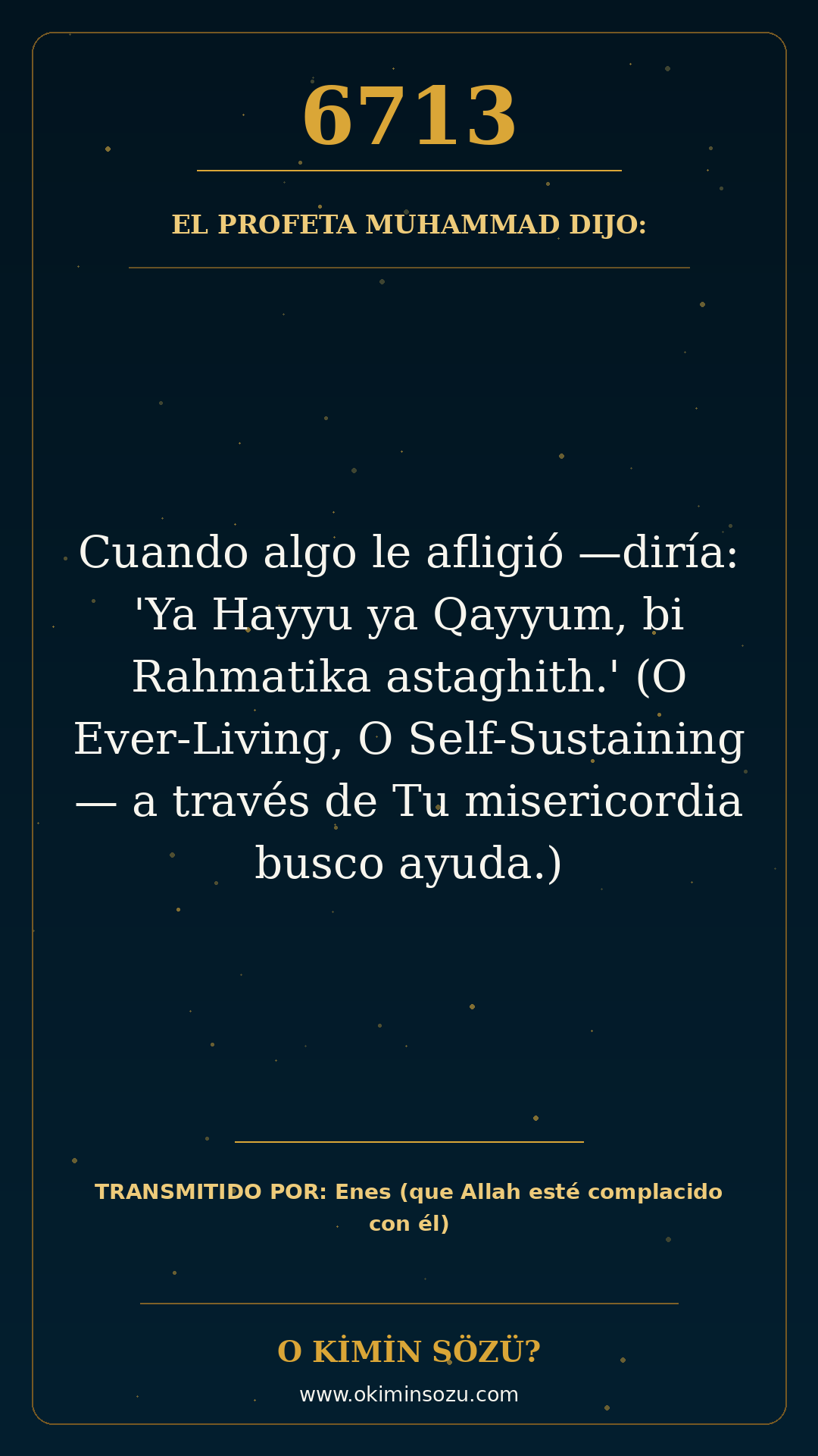 hadis 6713 es