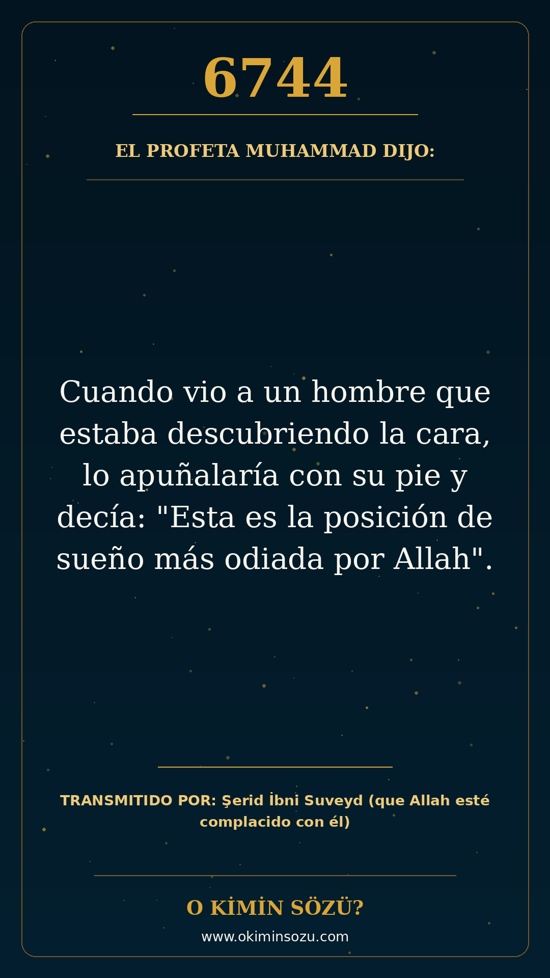 hadis 6744 es