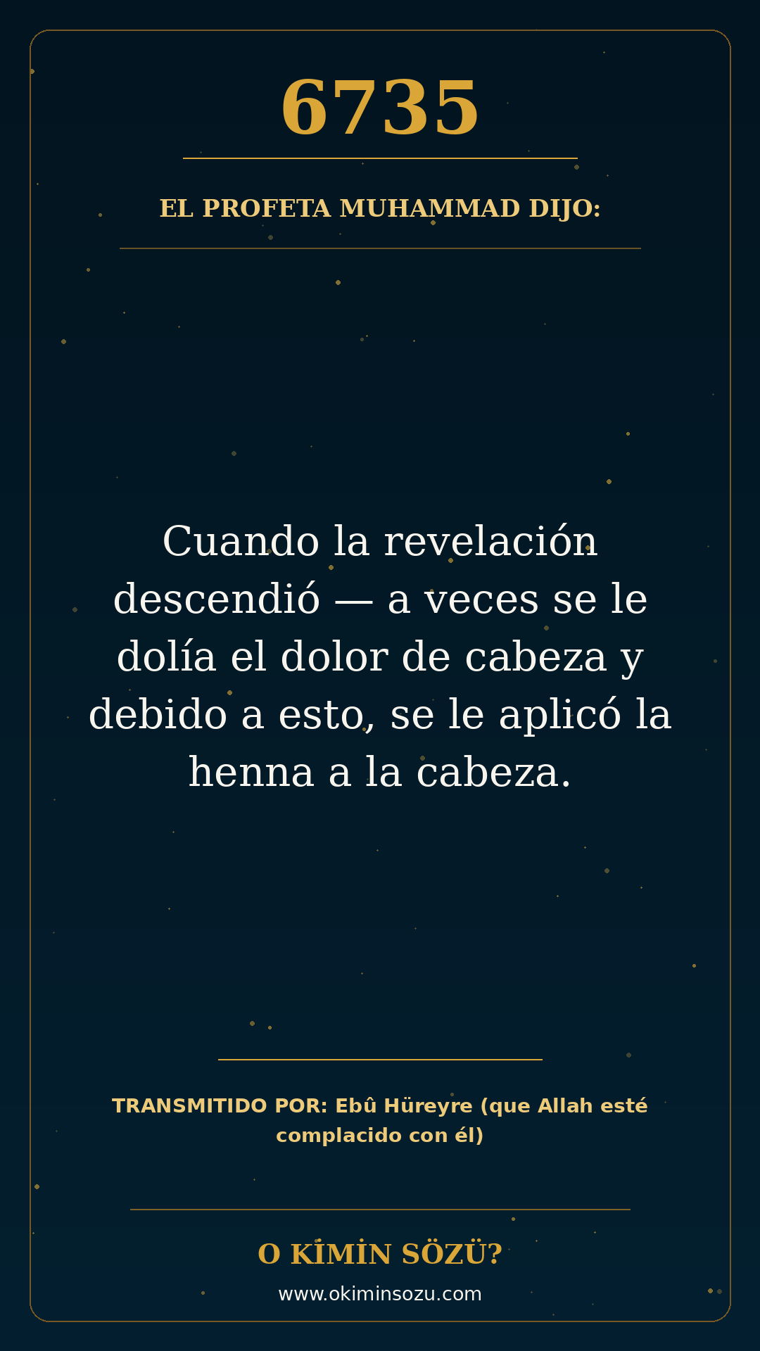 hadis 6735 es