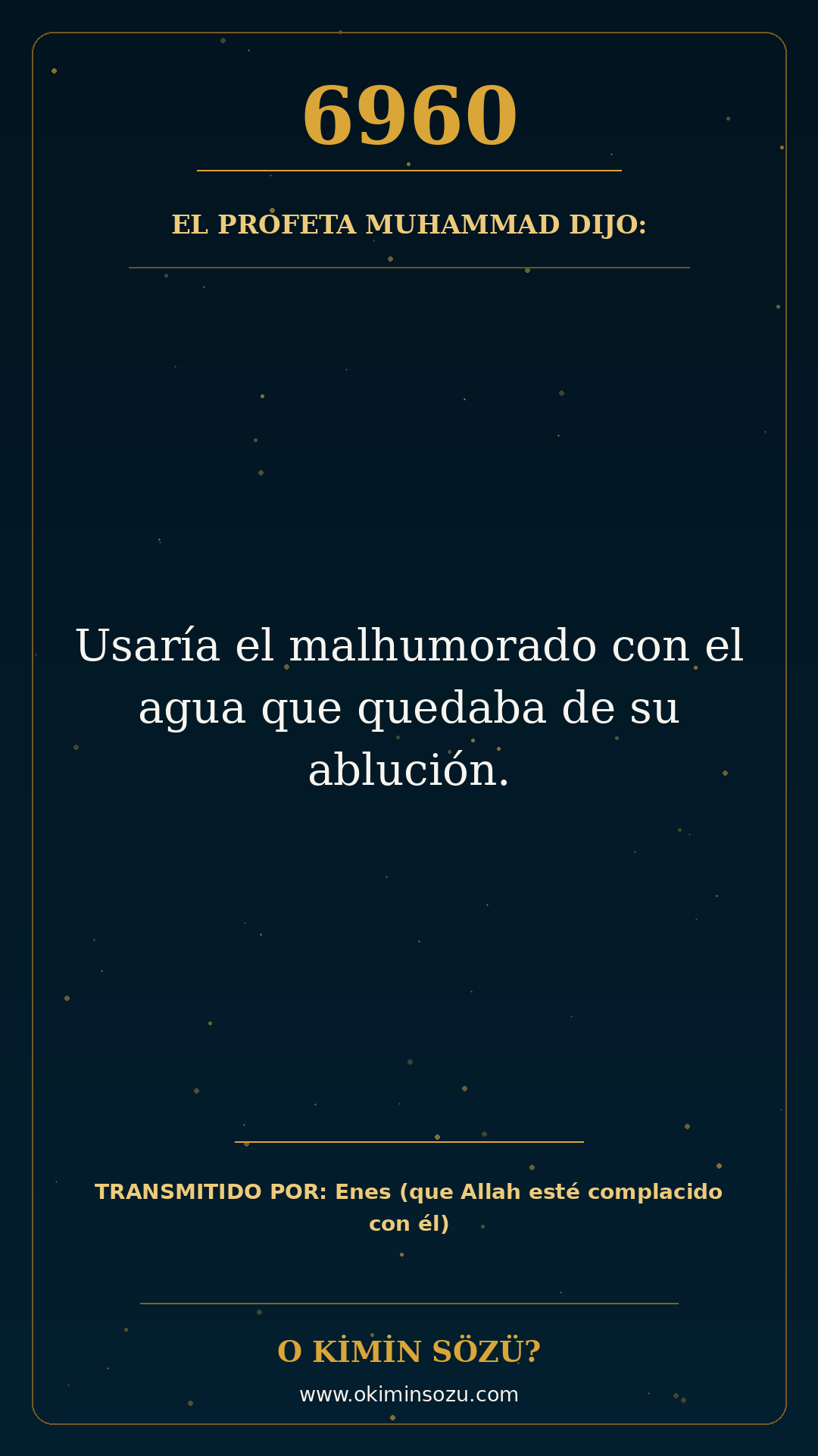 hadis 6960 es