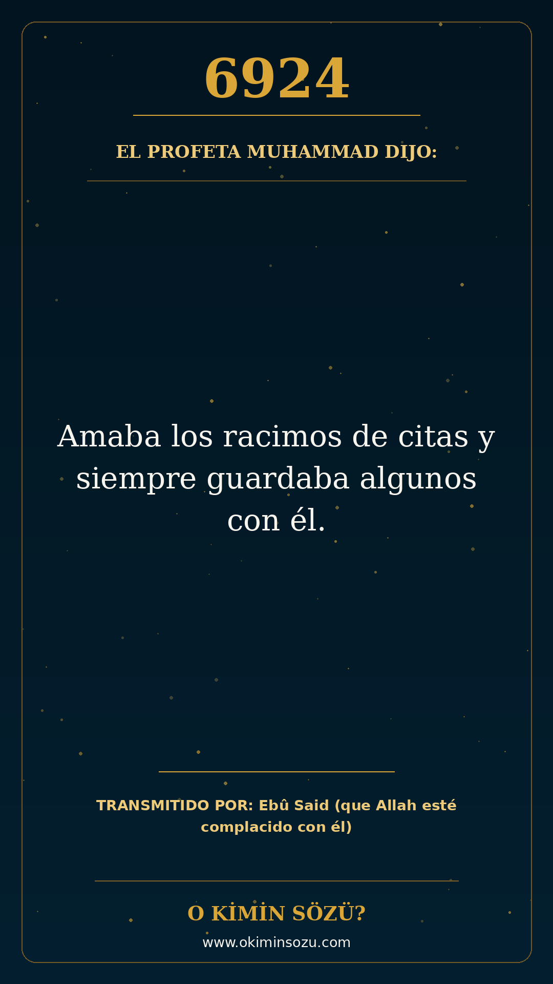 hadis 6924 es