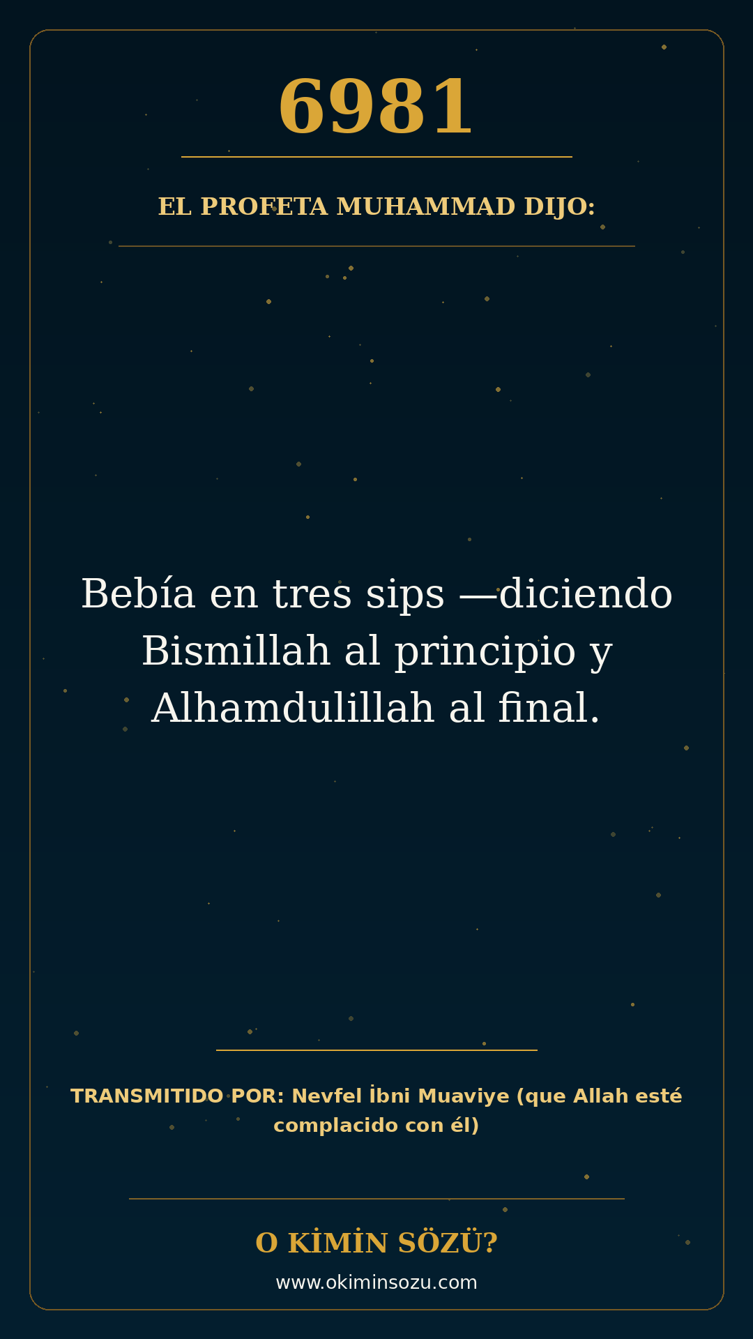 hadis 6981 es