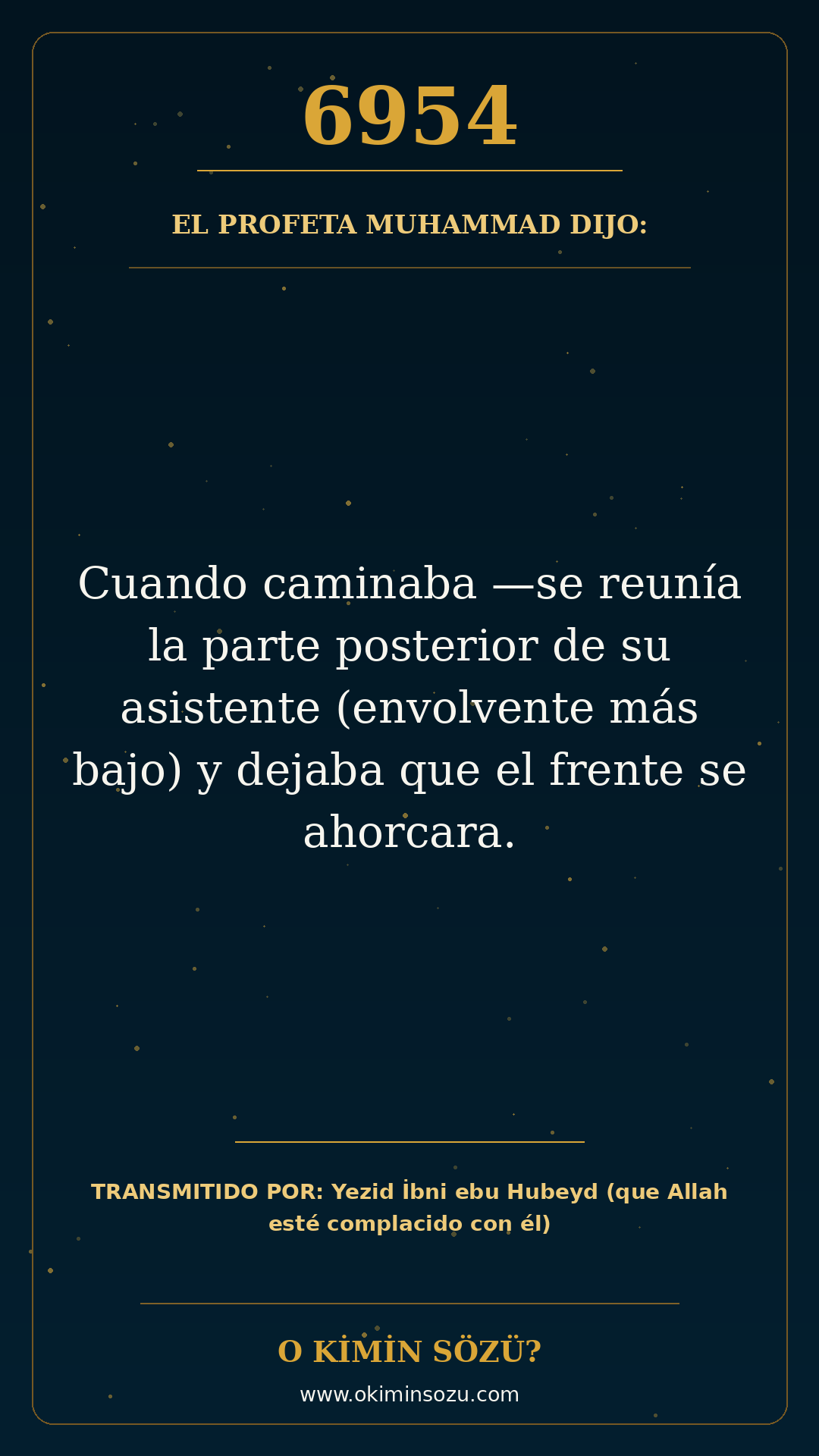 hadis 6954 es