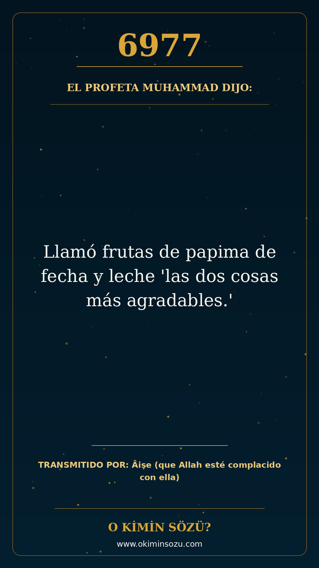 hadis 6977 es