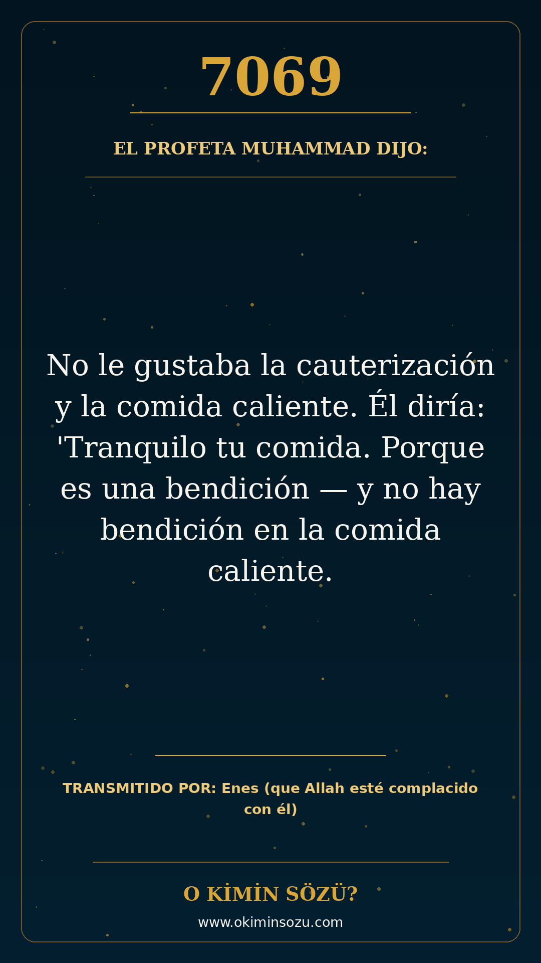 hadis 7069 es