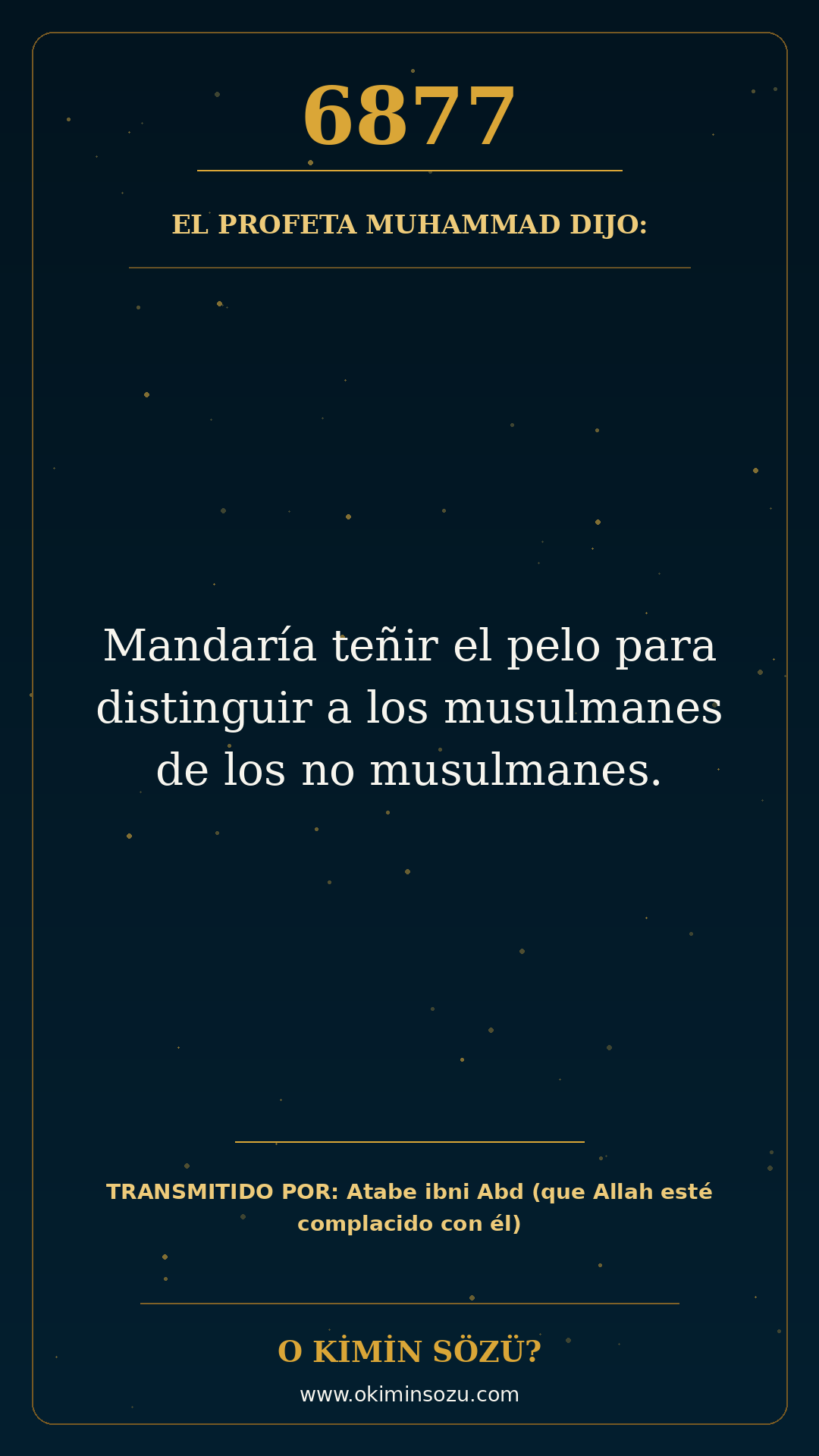 hadis 6877 es