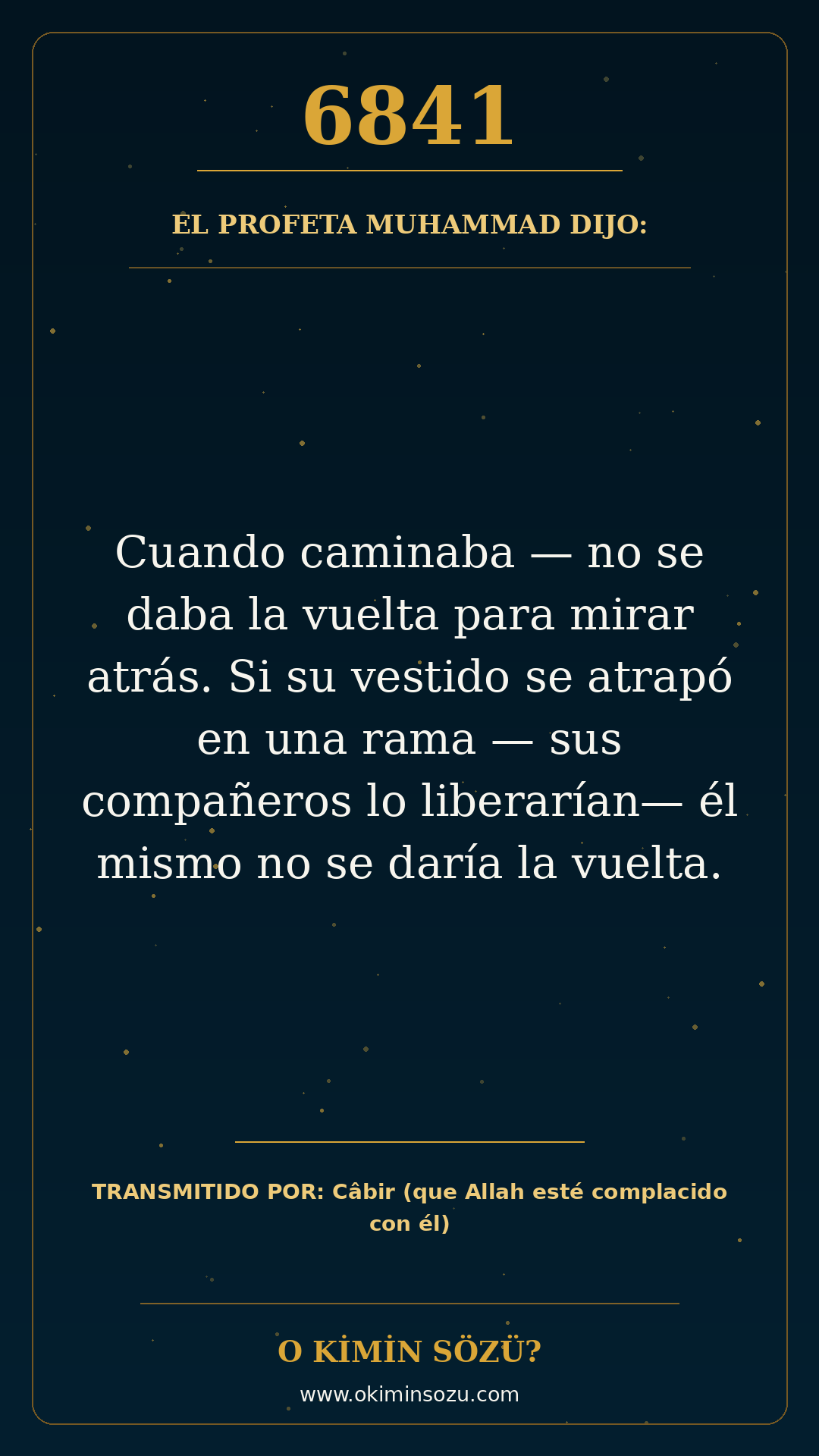 hadis 6841 es
