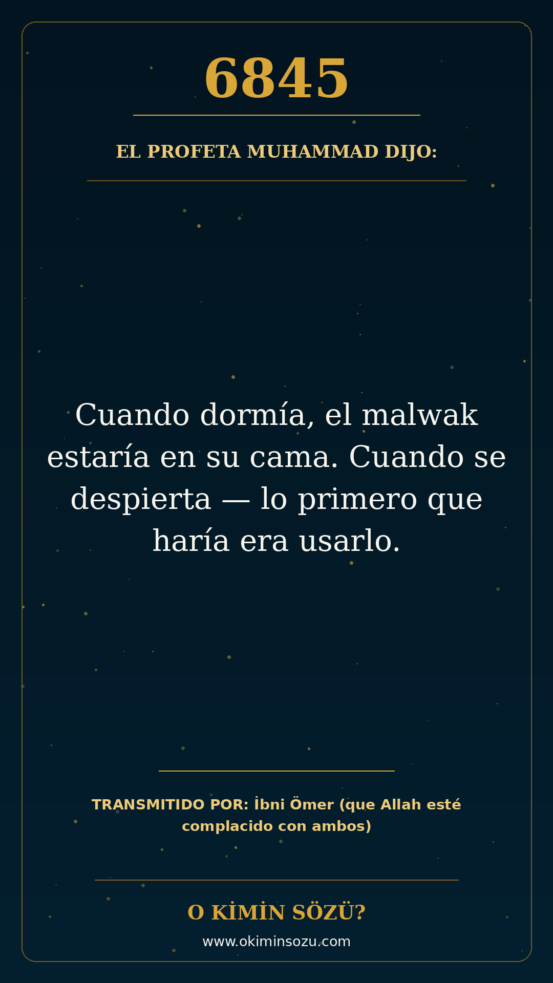 hadis 6845 es