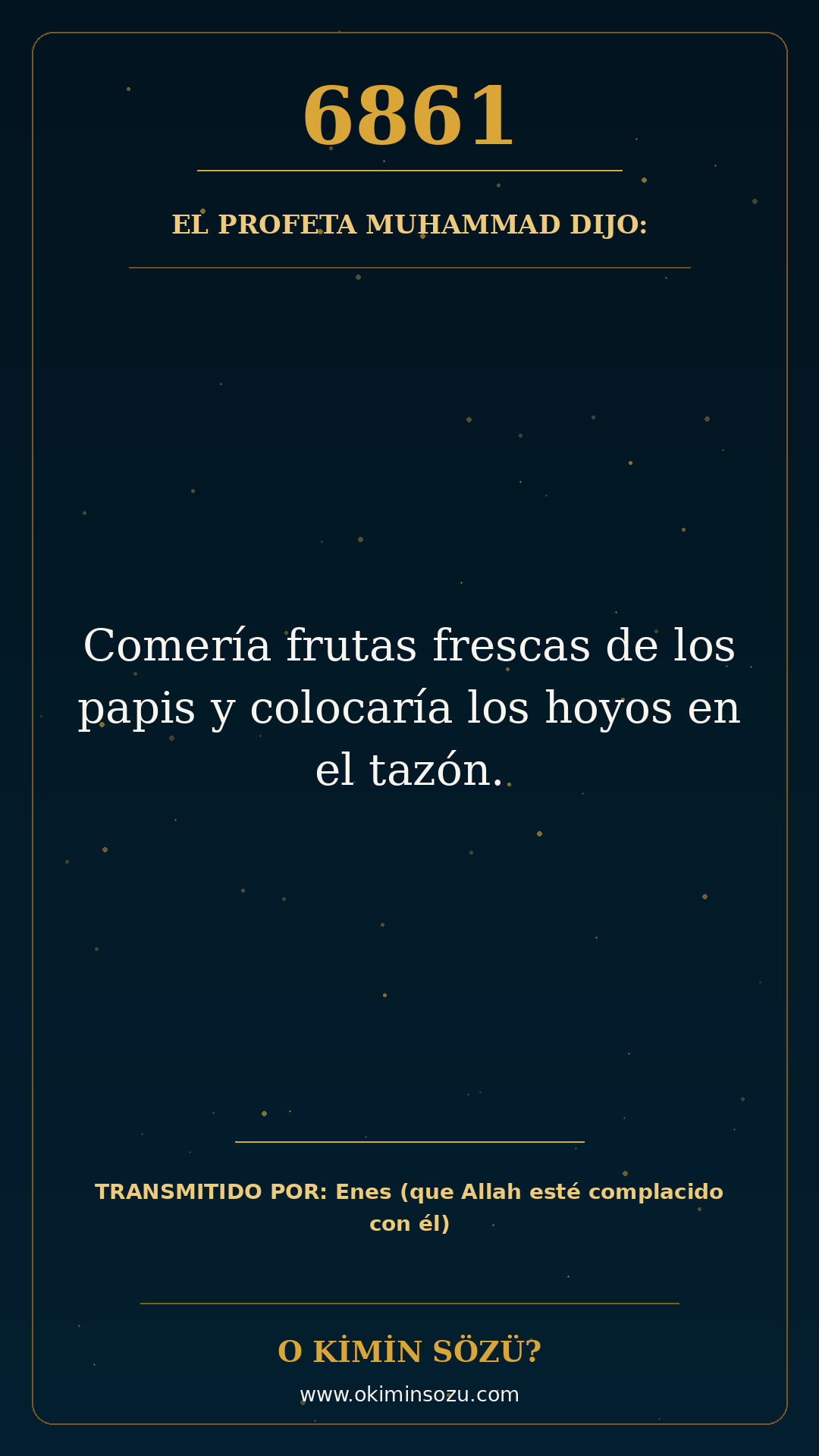 hadis 6861 es