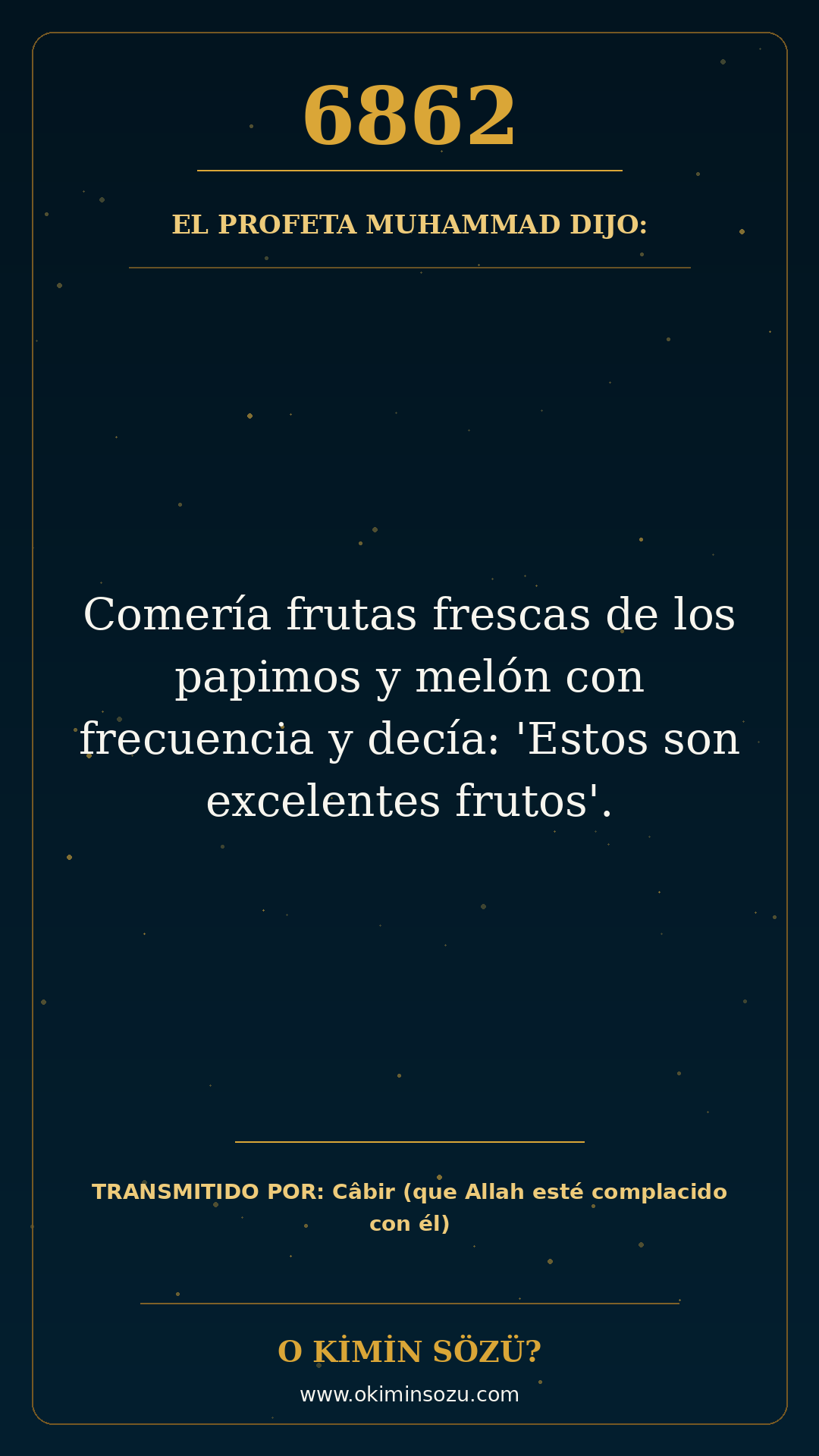 hadis 6862 es