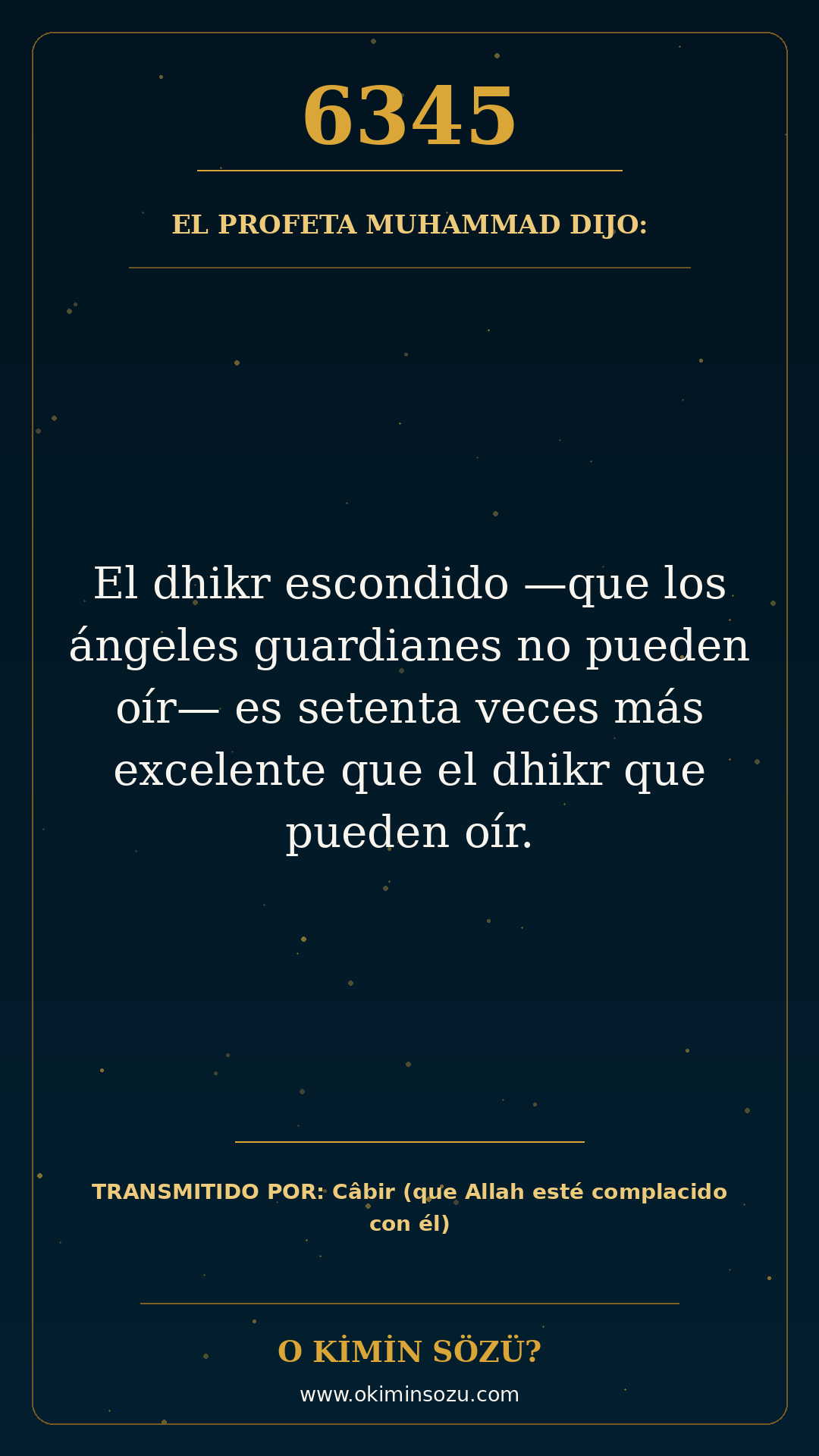 hadis 6345 es