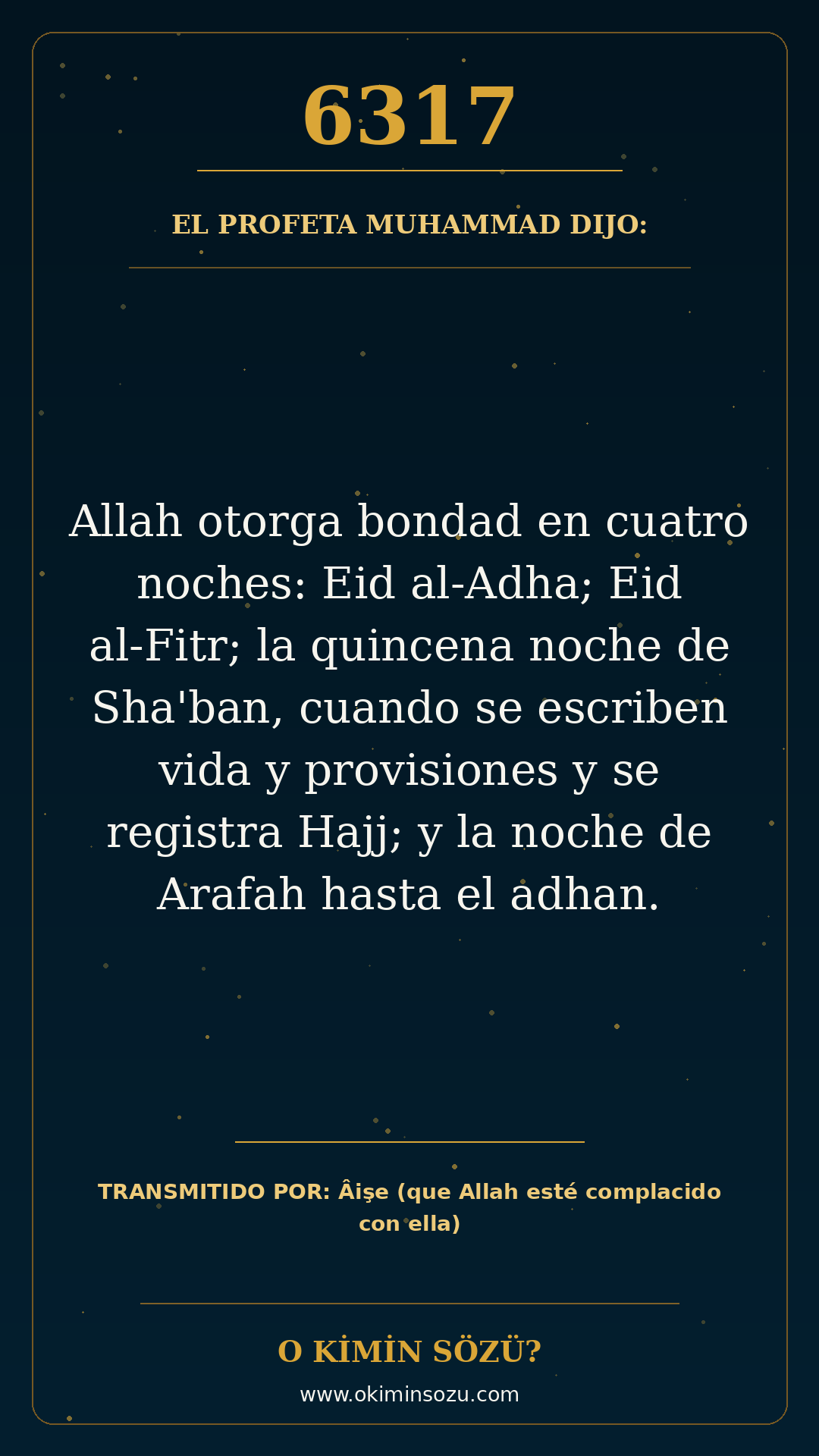 hadis 6317 es