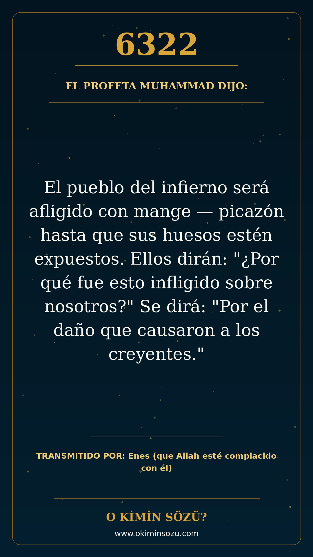 hadis 6322 es