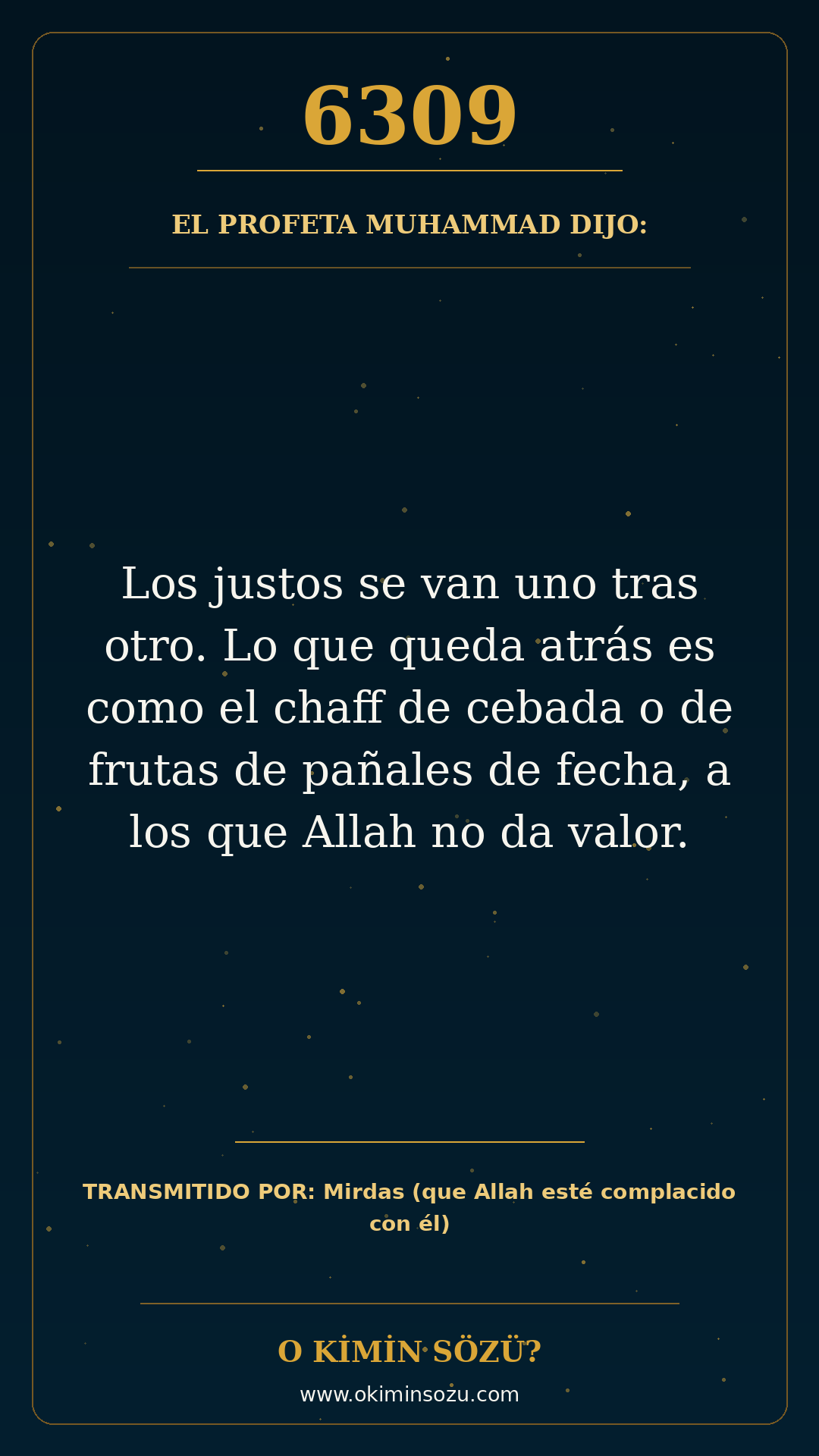 hadis 6309 es