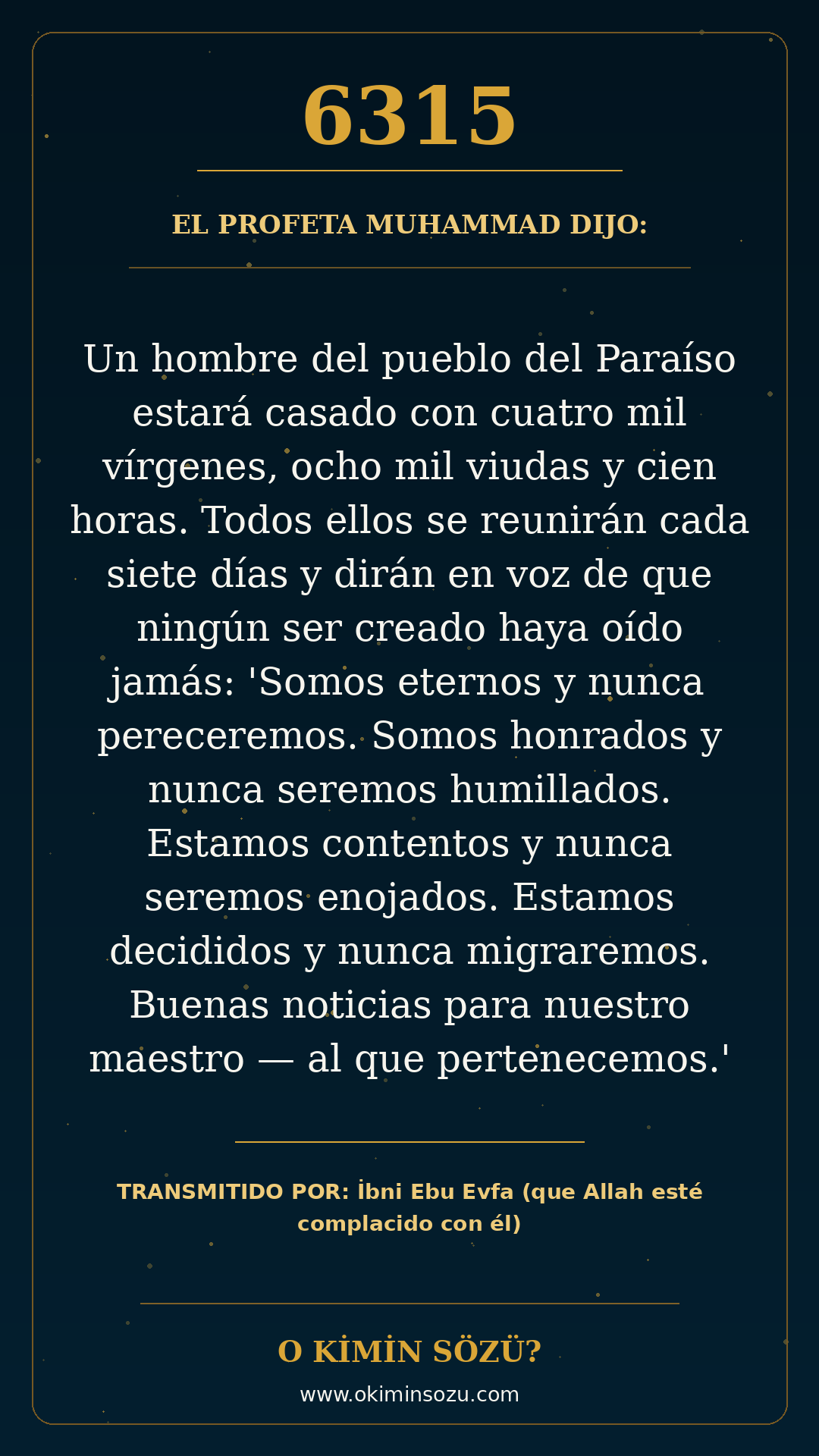 hadis 6315 es
