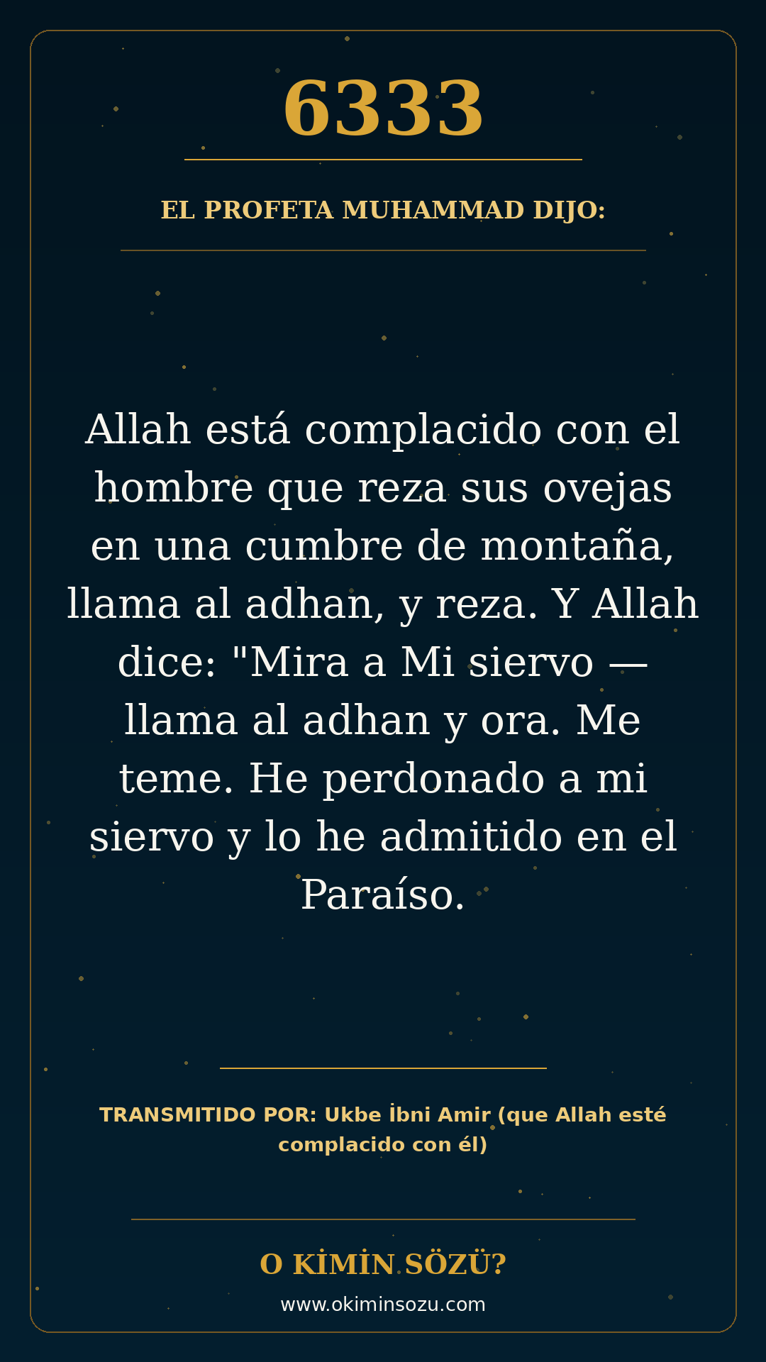 hadis 6333 es