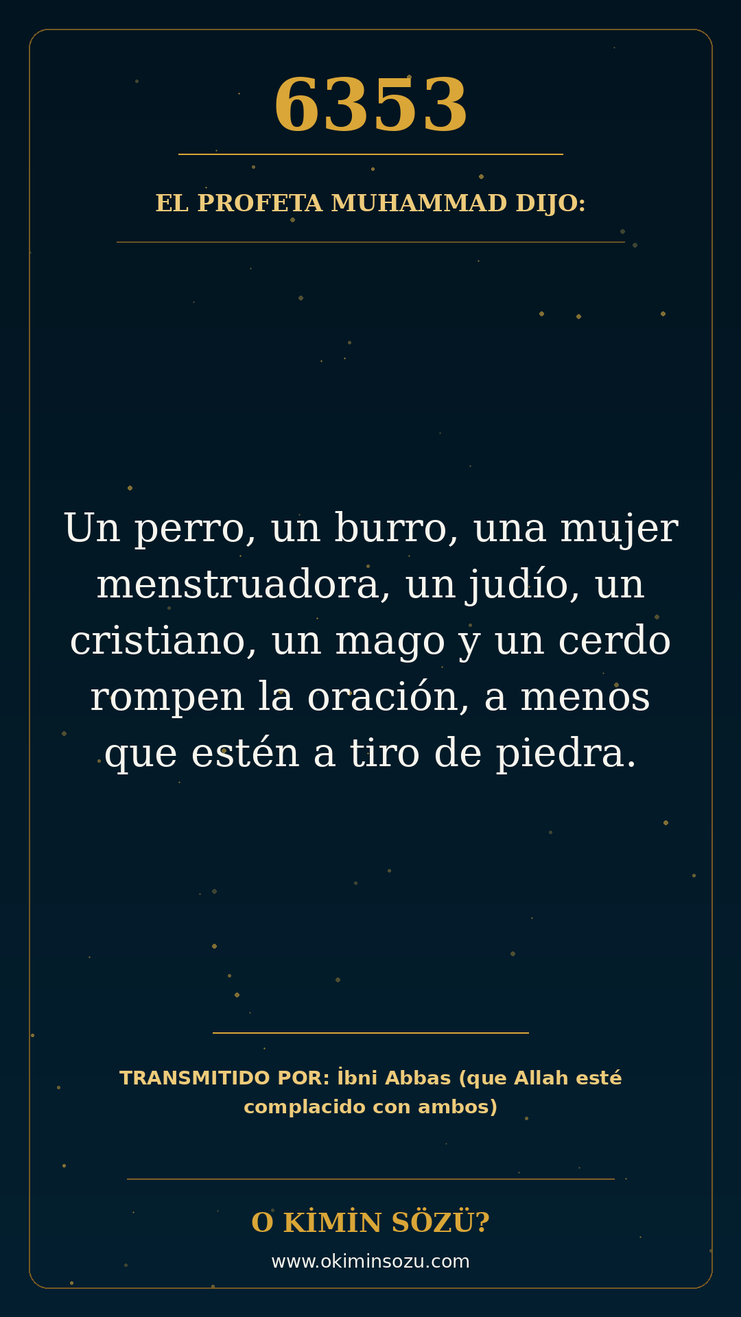 hadis 6353 es