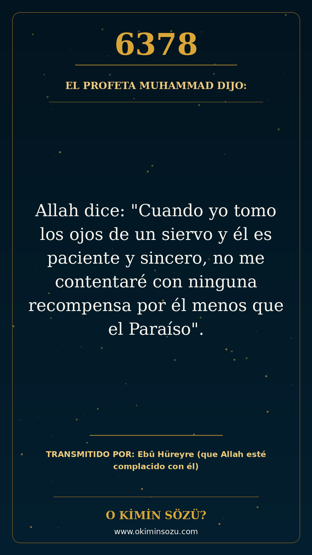 hadis 6378 es