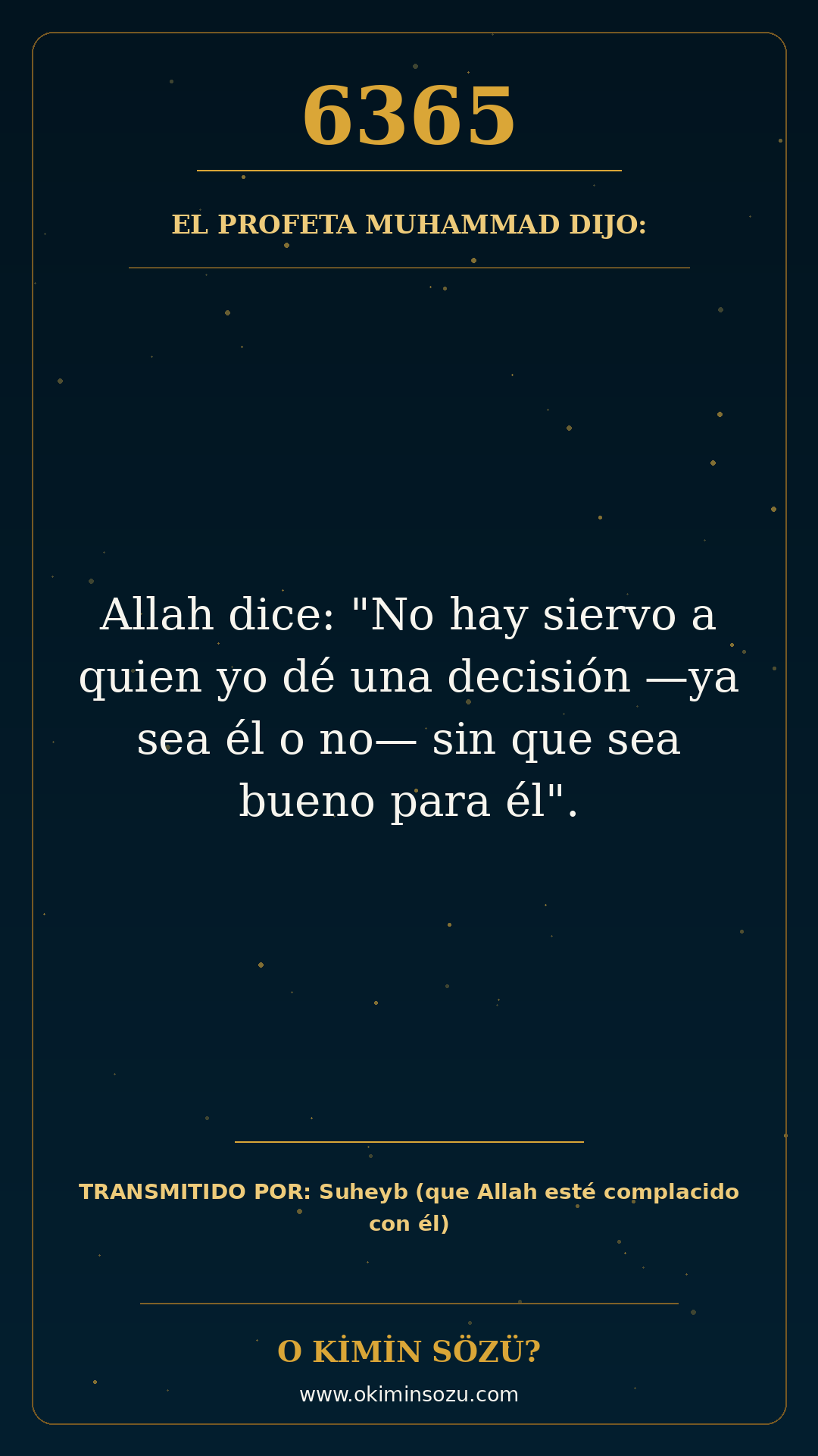 hadis 6365 es