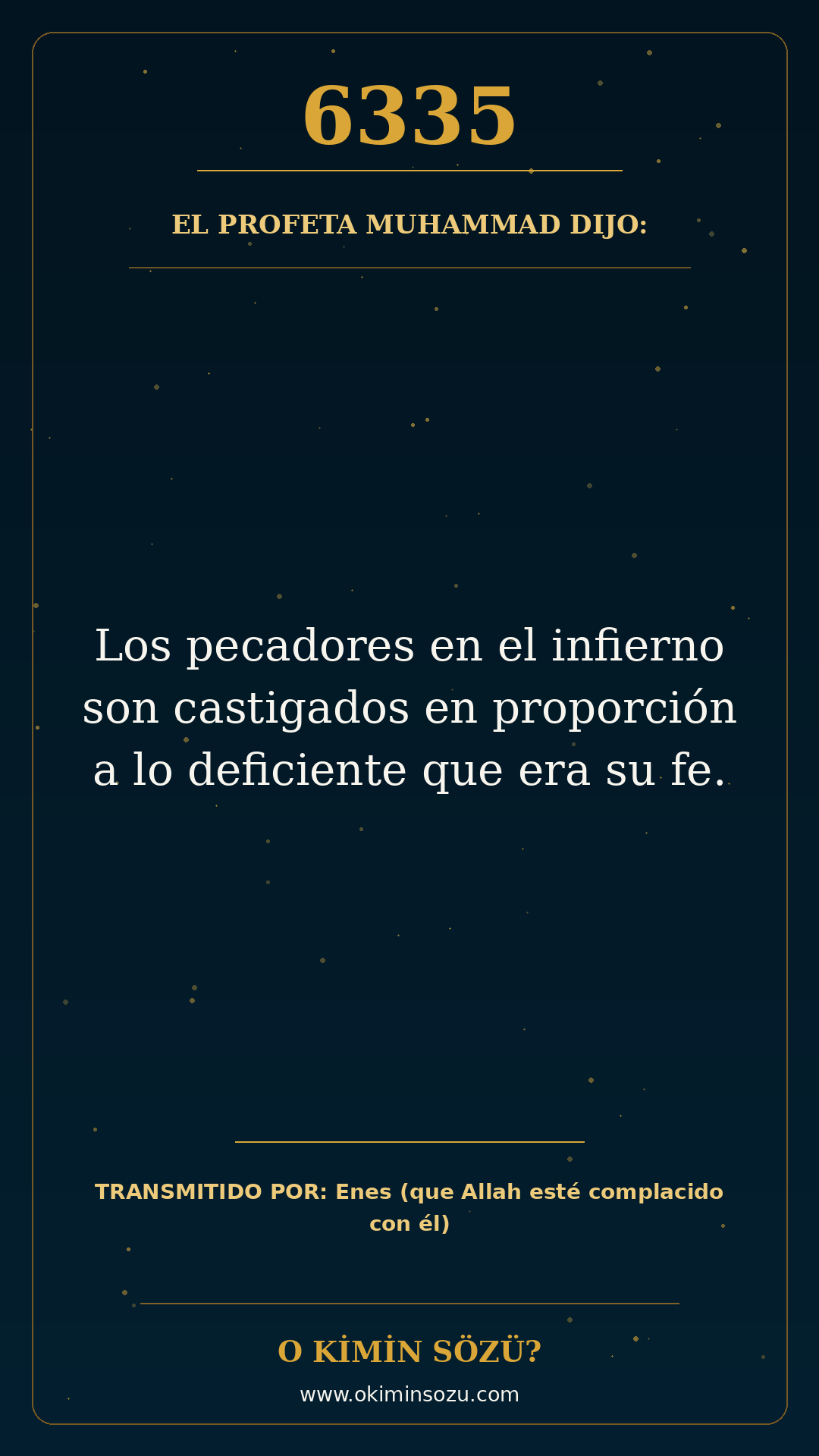 hadis 6335 es